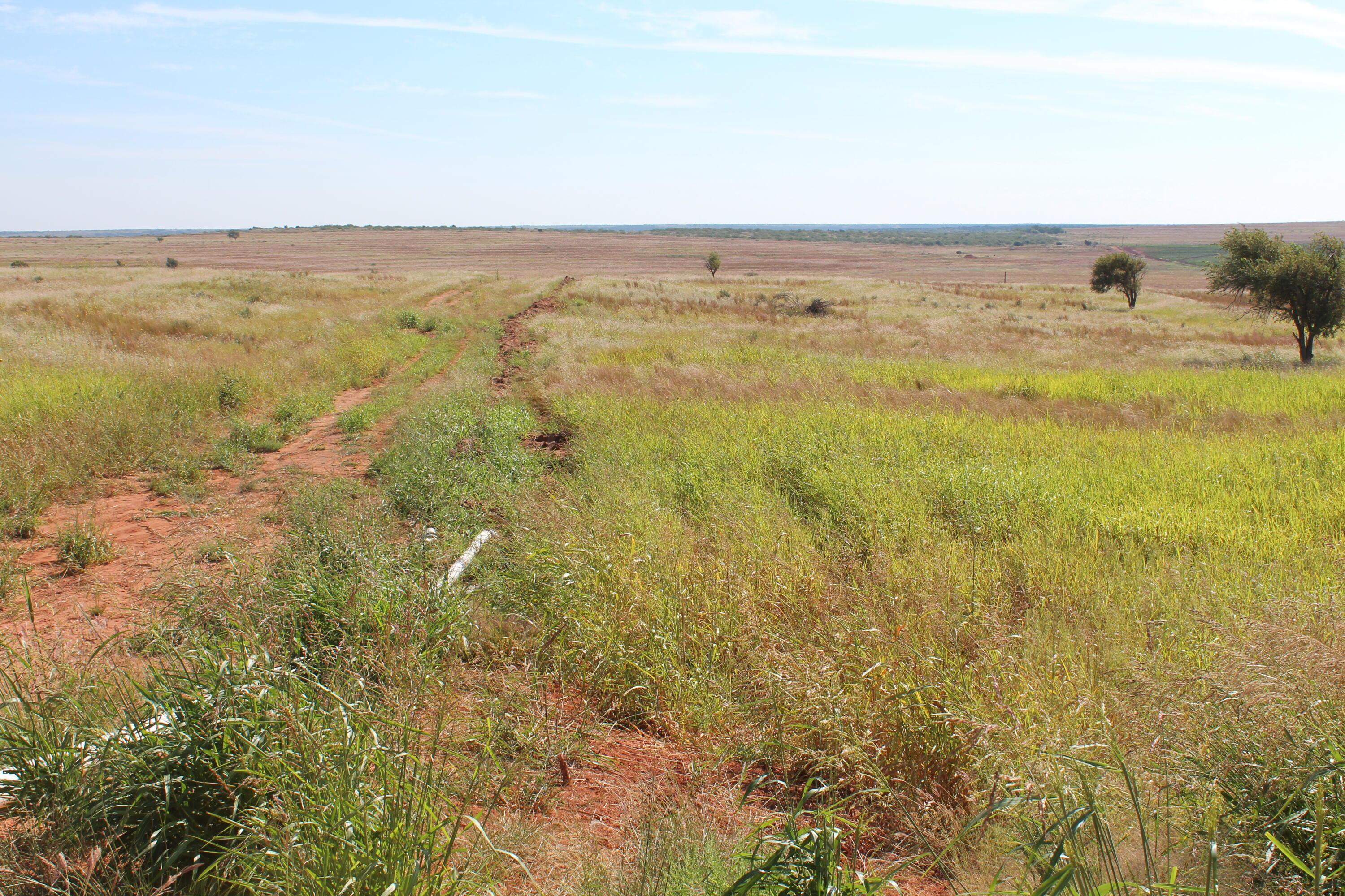 325 Acres Childress Property Photo 3
