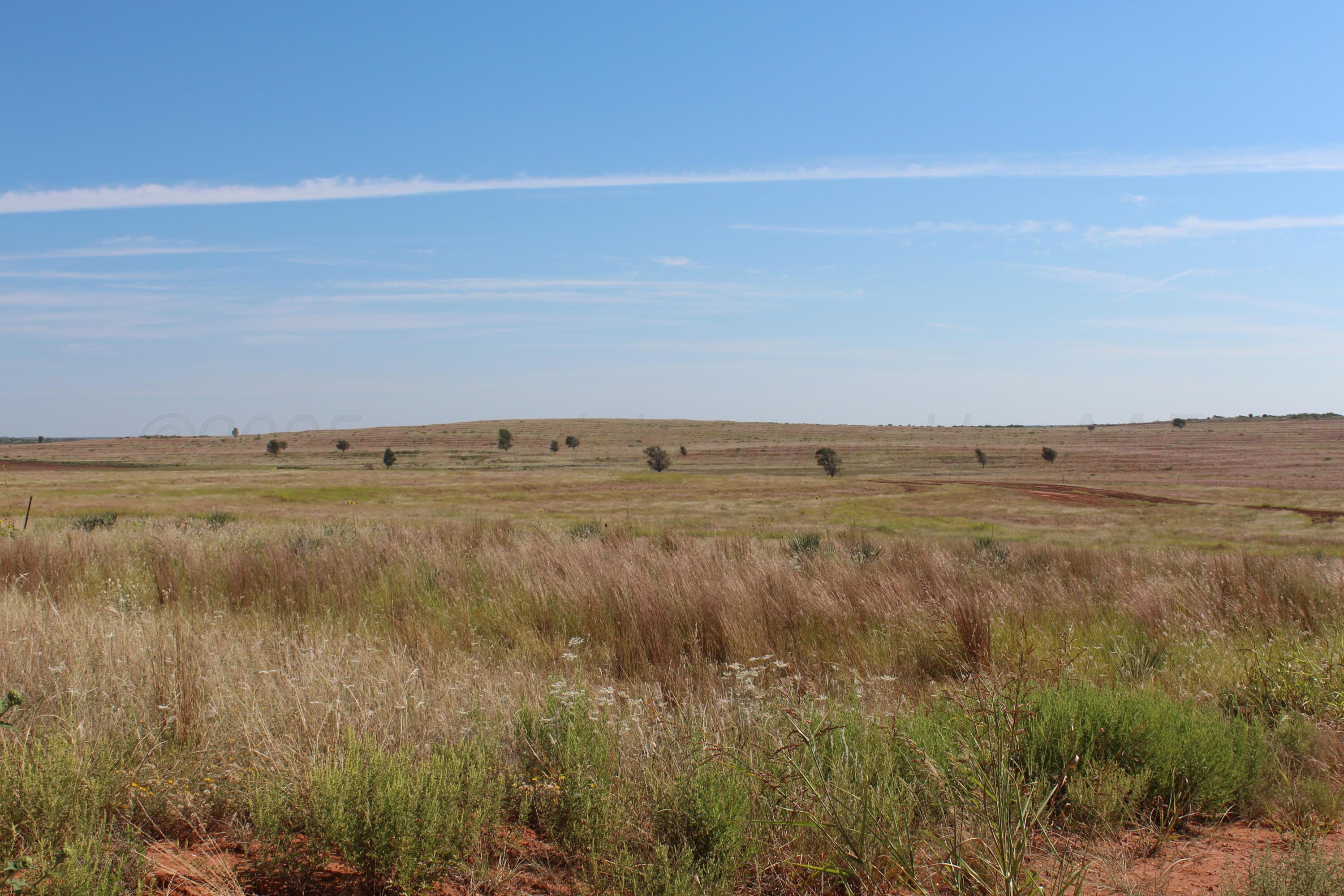 325 Acres Childress Property Photo 7