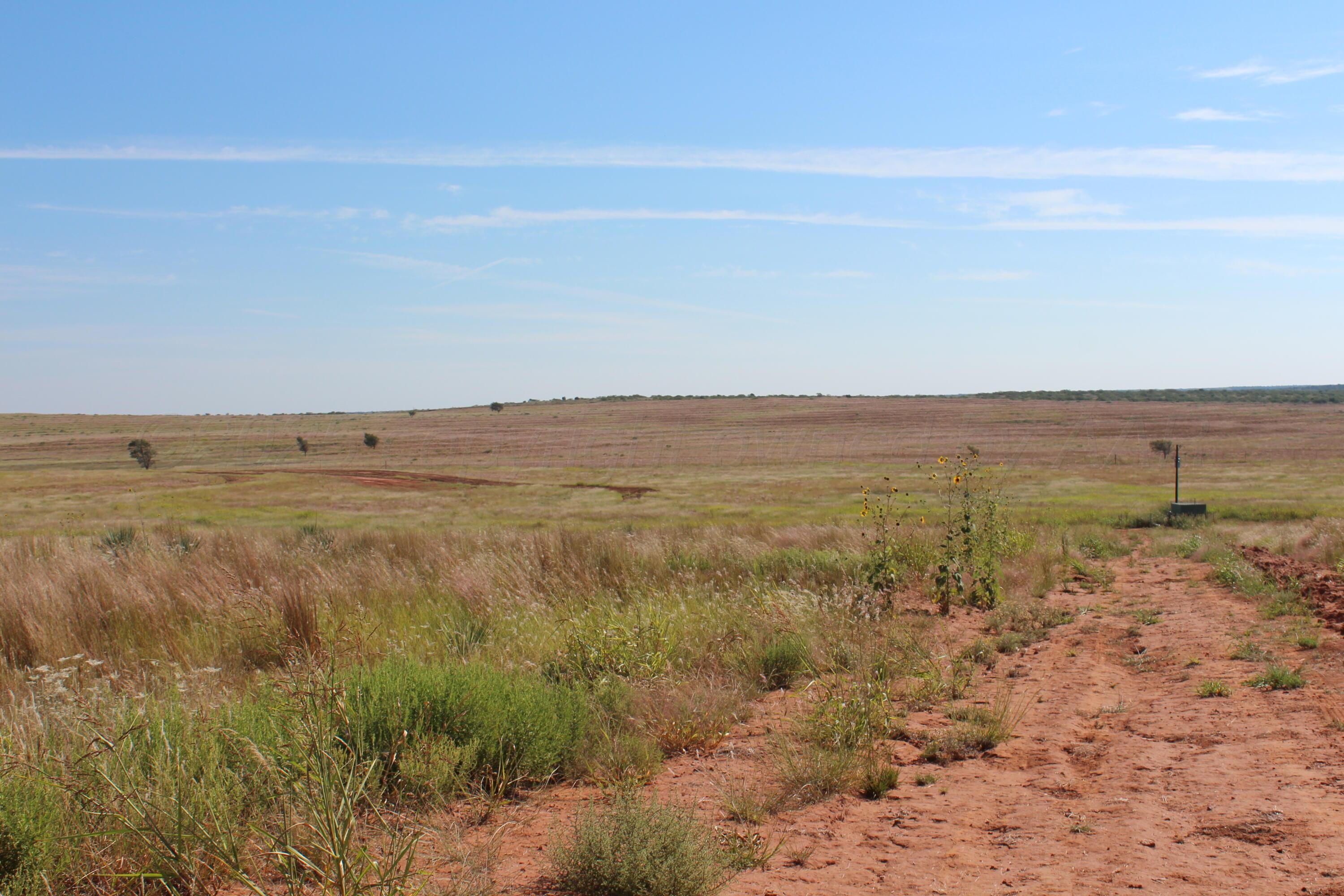 325 Acres Childress Property Photo 9