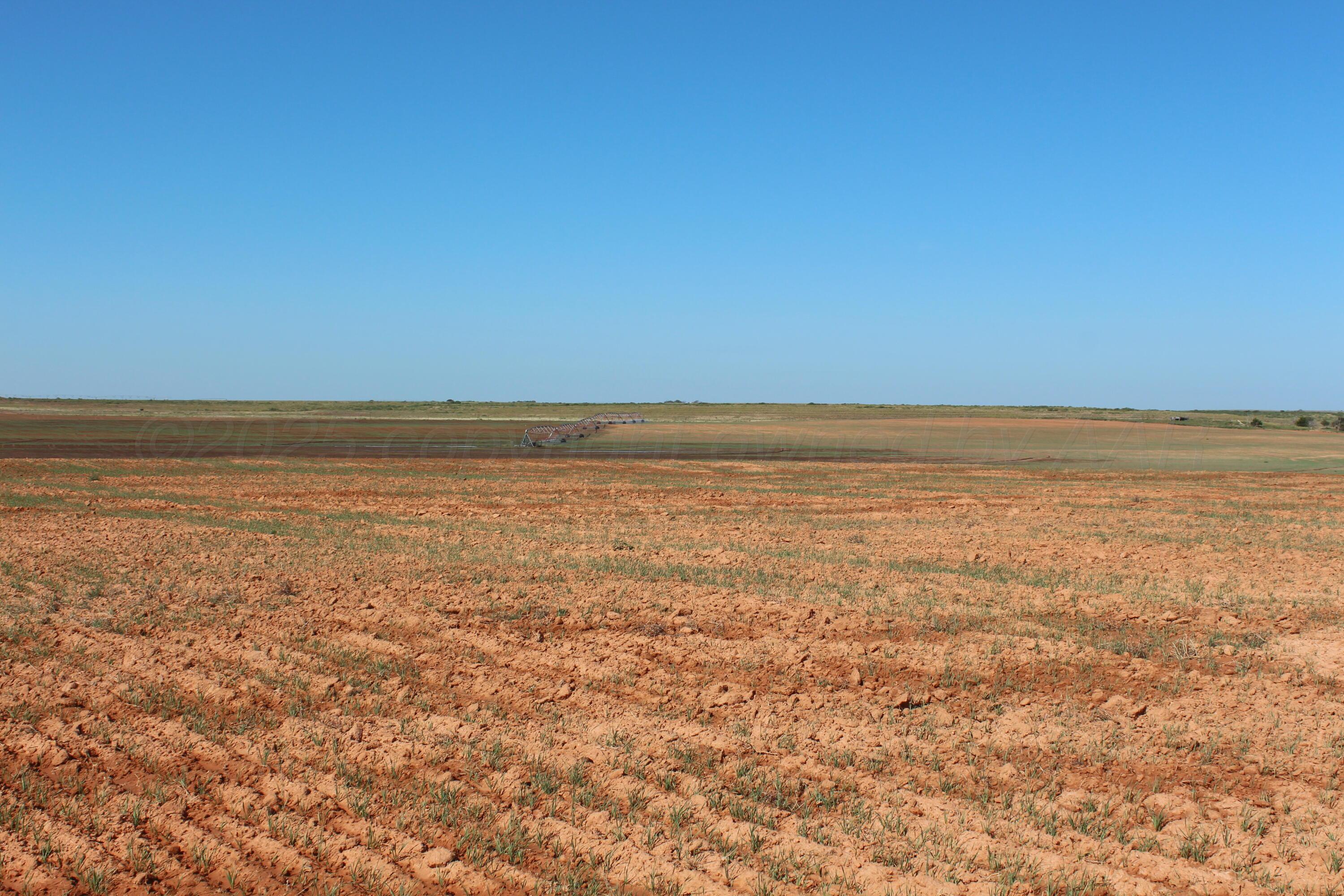 325 Acres Childress Property Photo 11