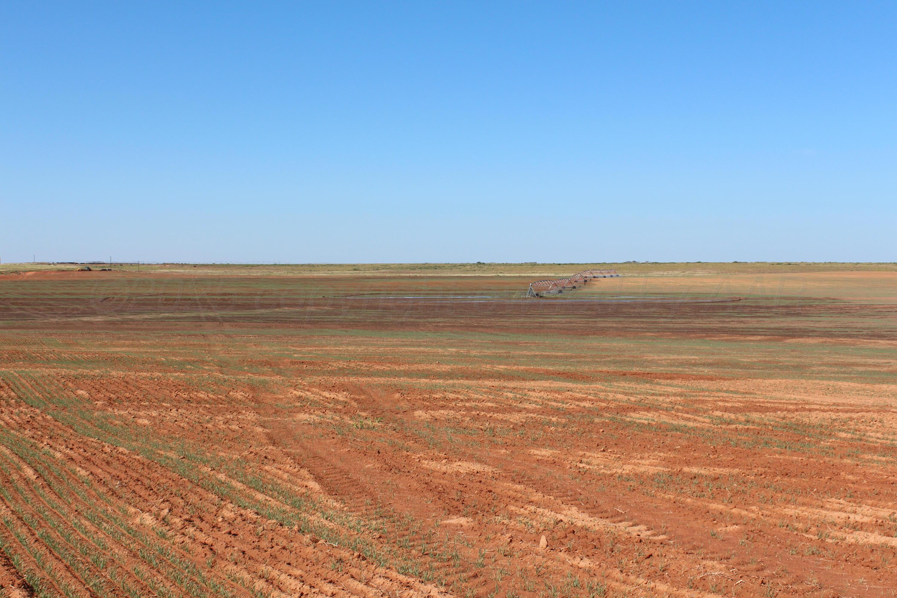 325 Acres Childress Property Photo 16