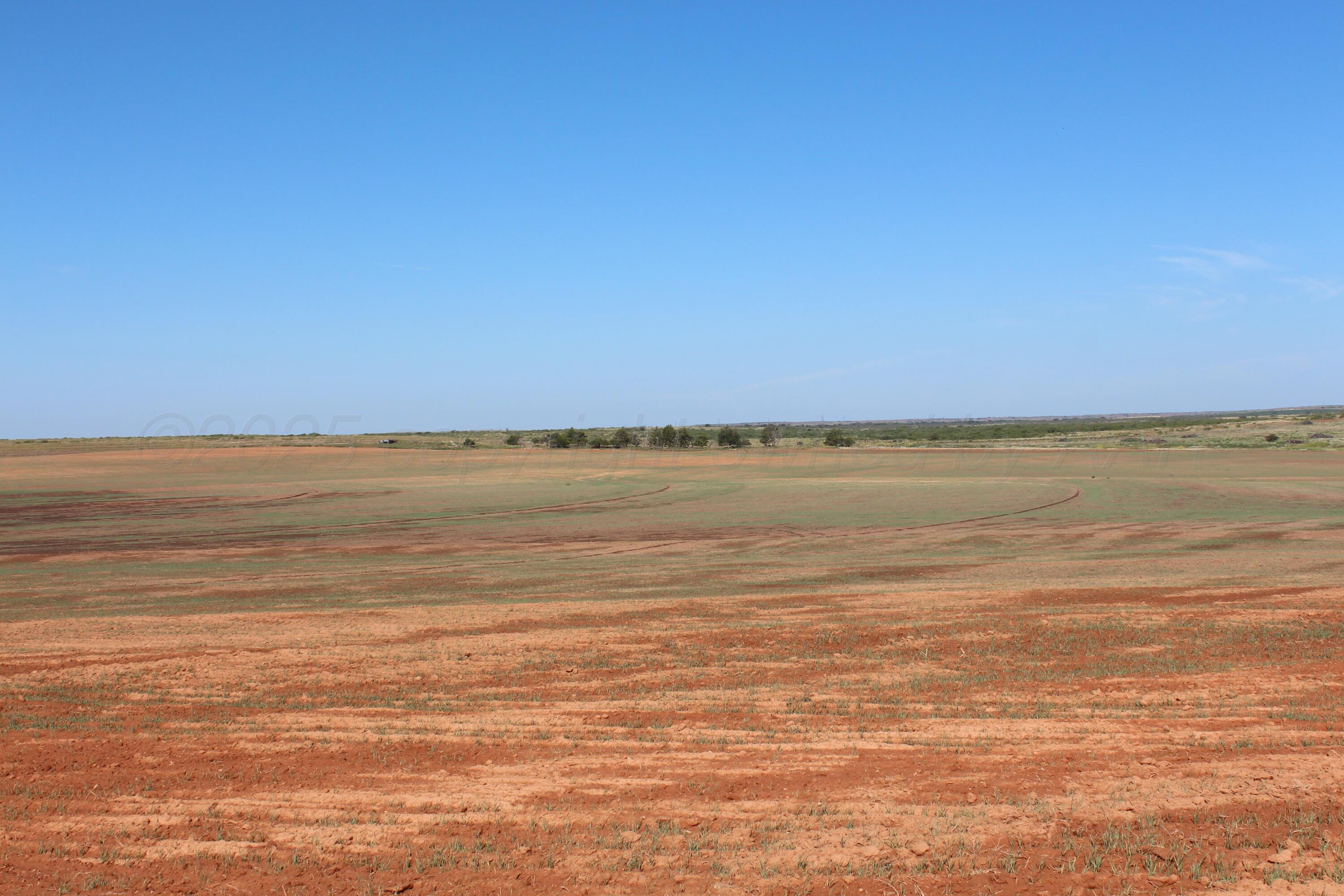 325 Acres Childress Property Photo 17