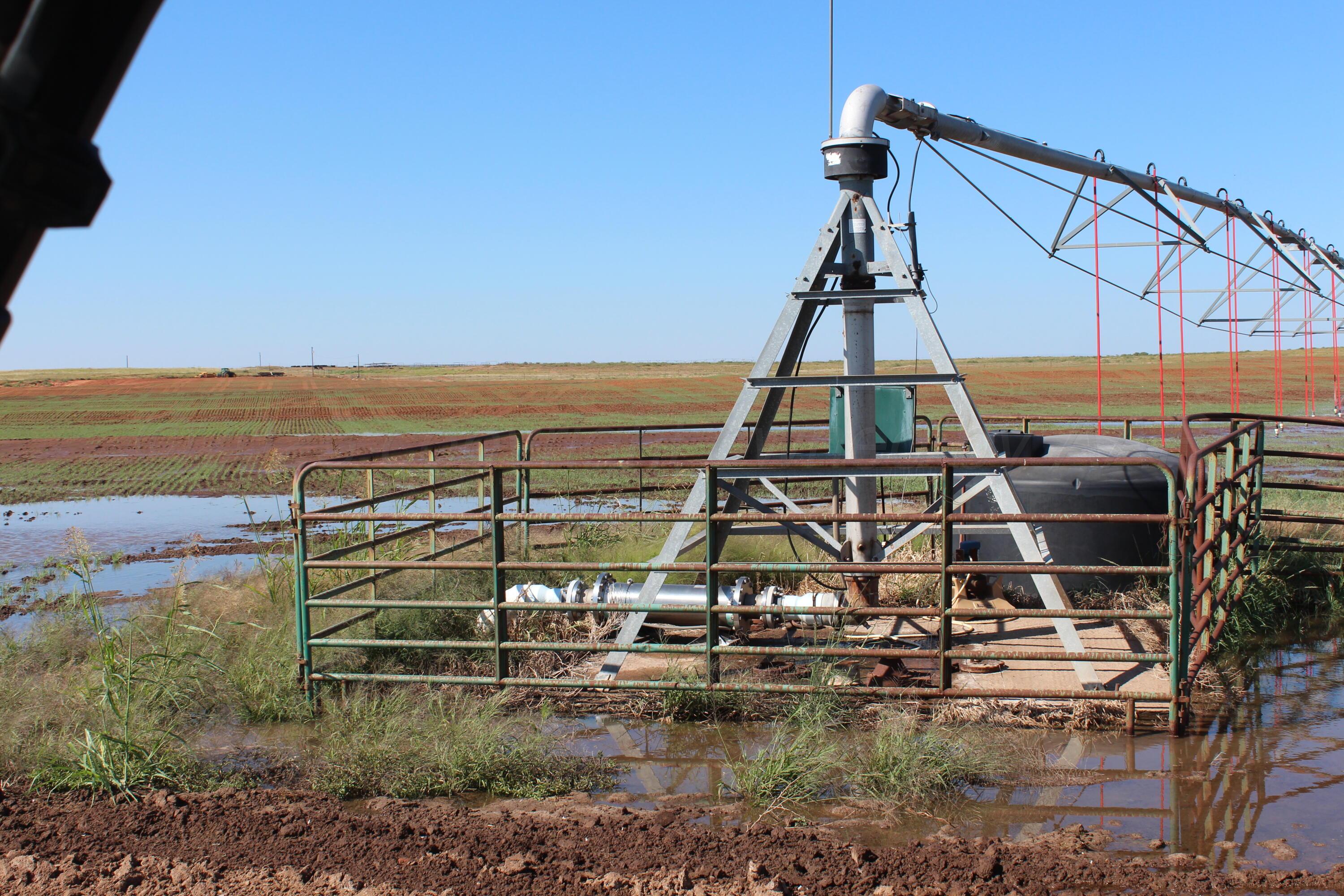 325 Acres Childress Property Photo 19