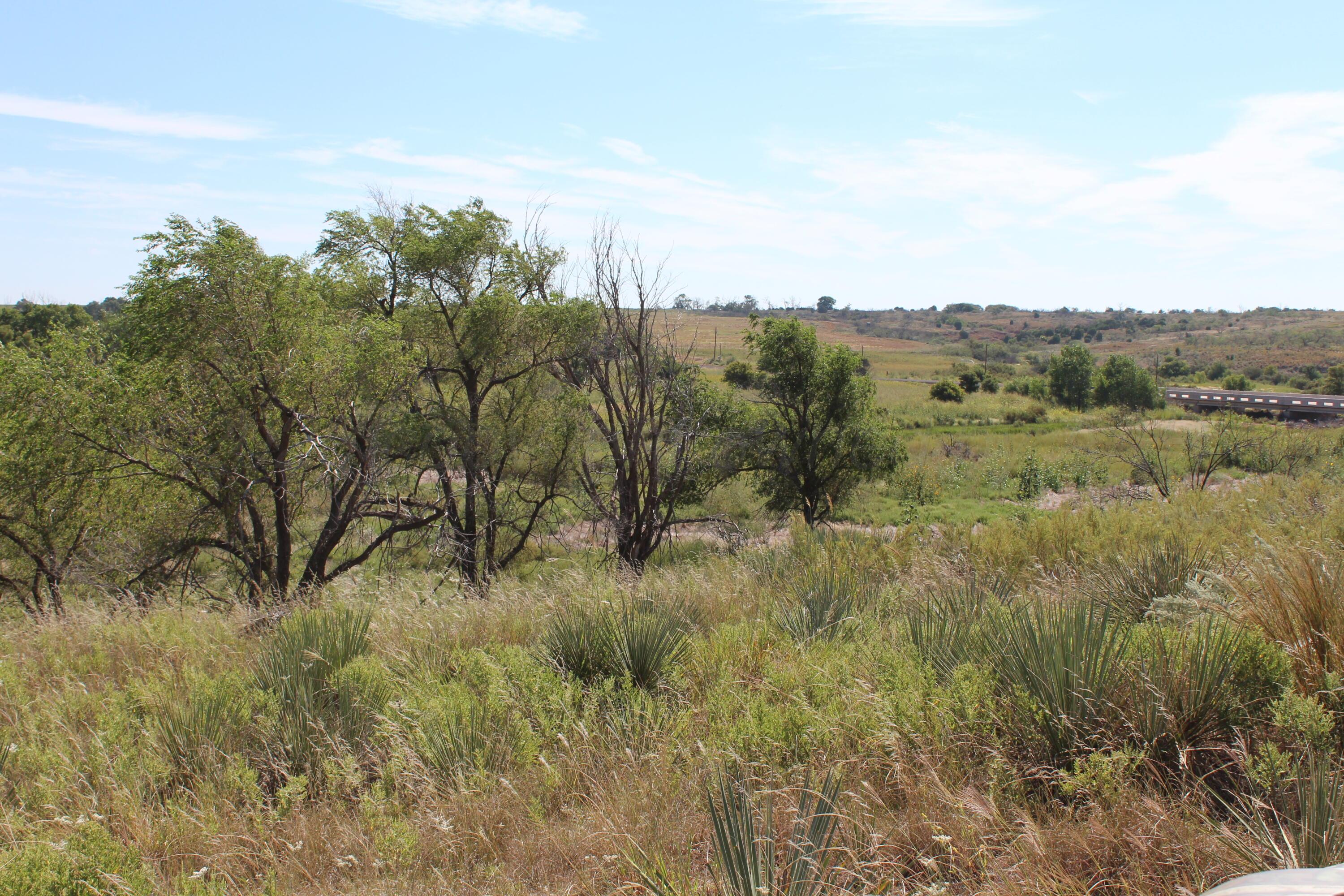 325 Acres Childress Property Photo 26
