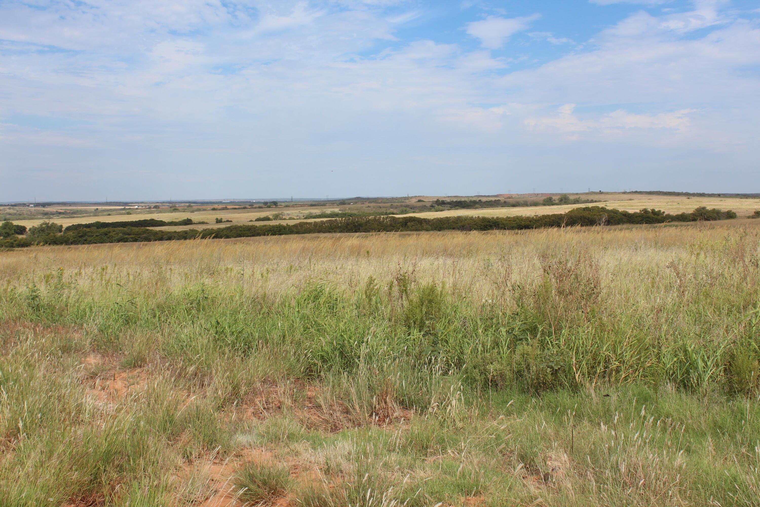 325 Acres Childress Property Photo 31