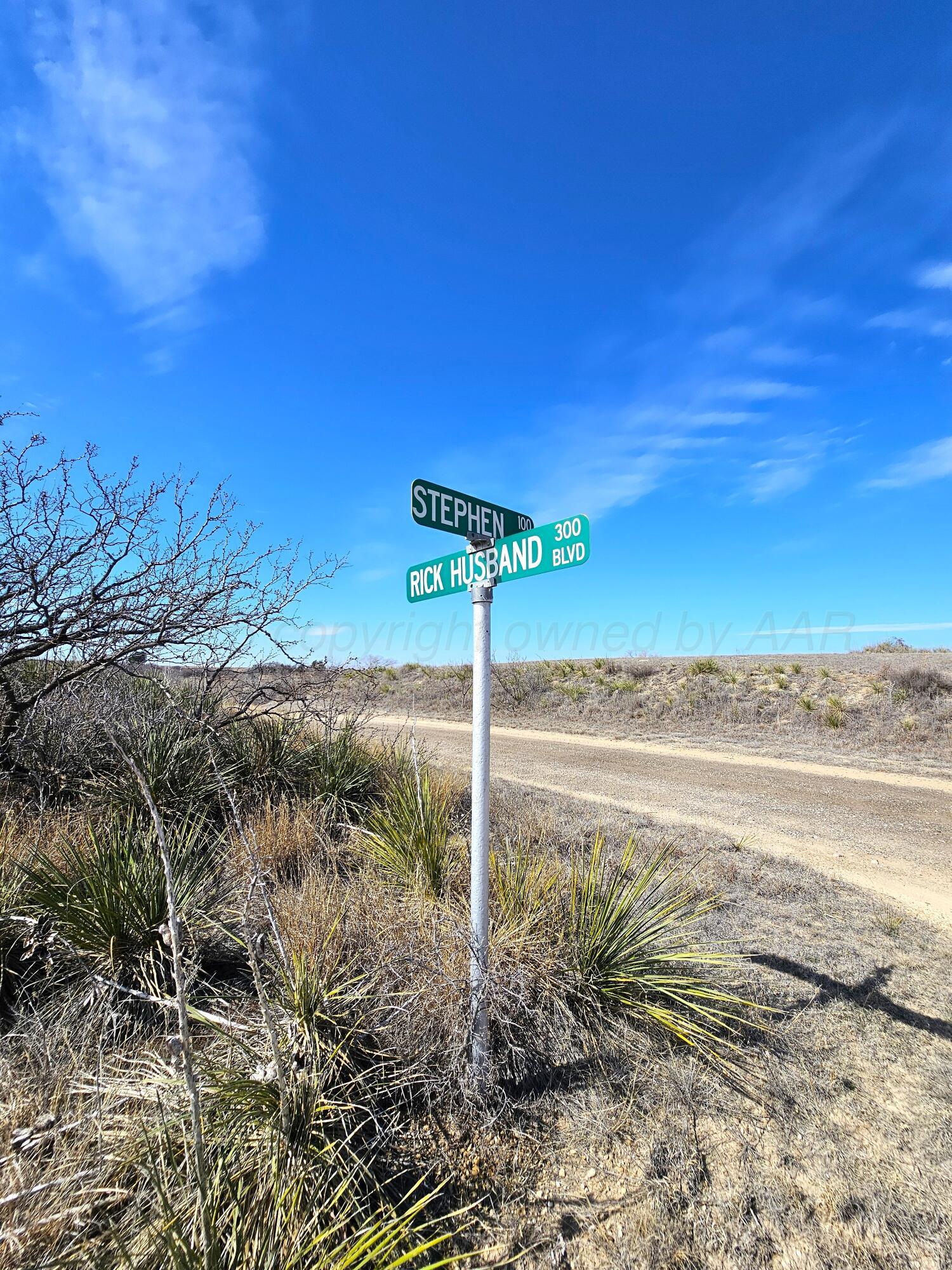 0 Rick Husband Boulevard Property Photo 4