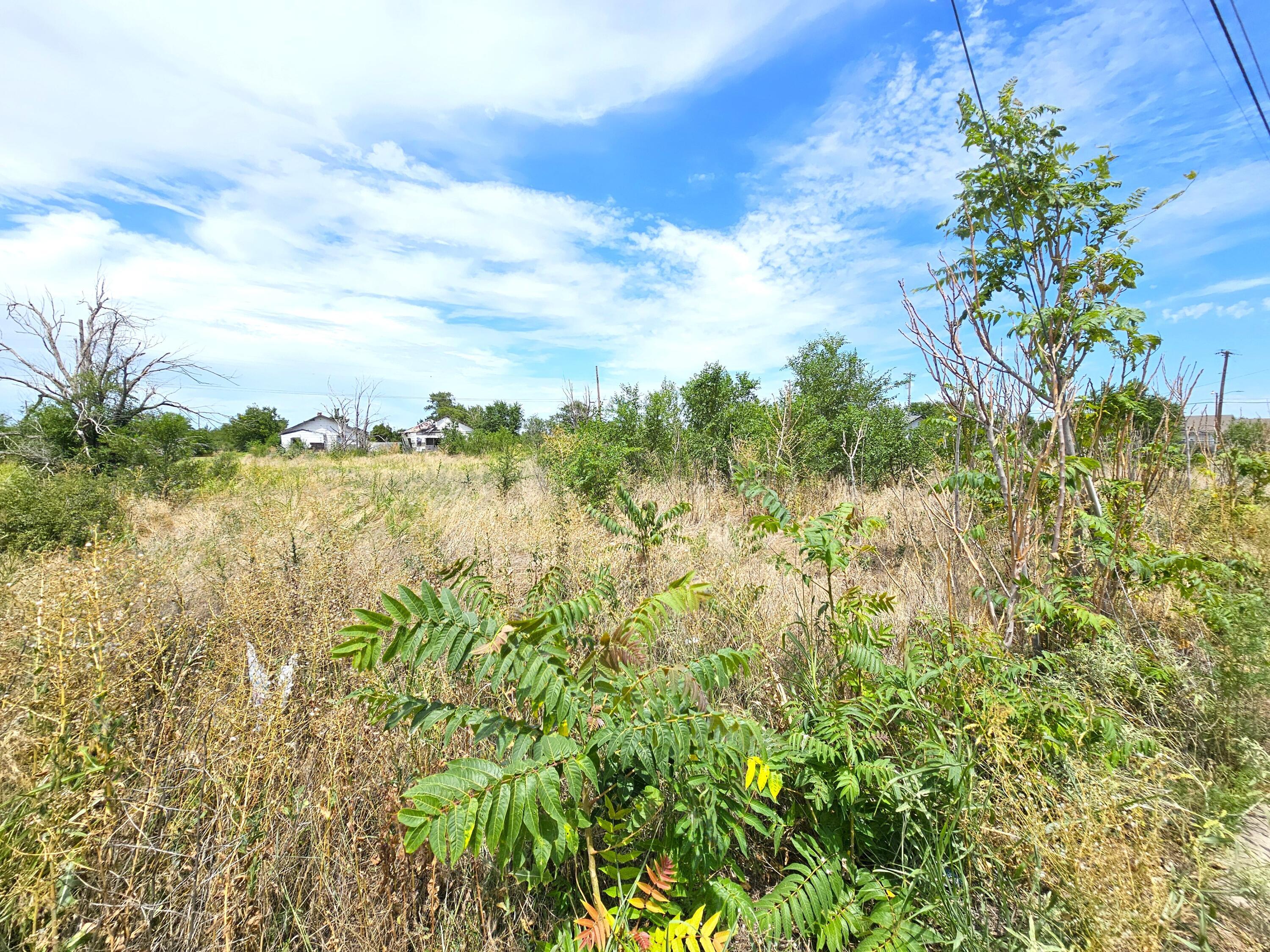 Tbd W Crawford Street Property Photo 3