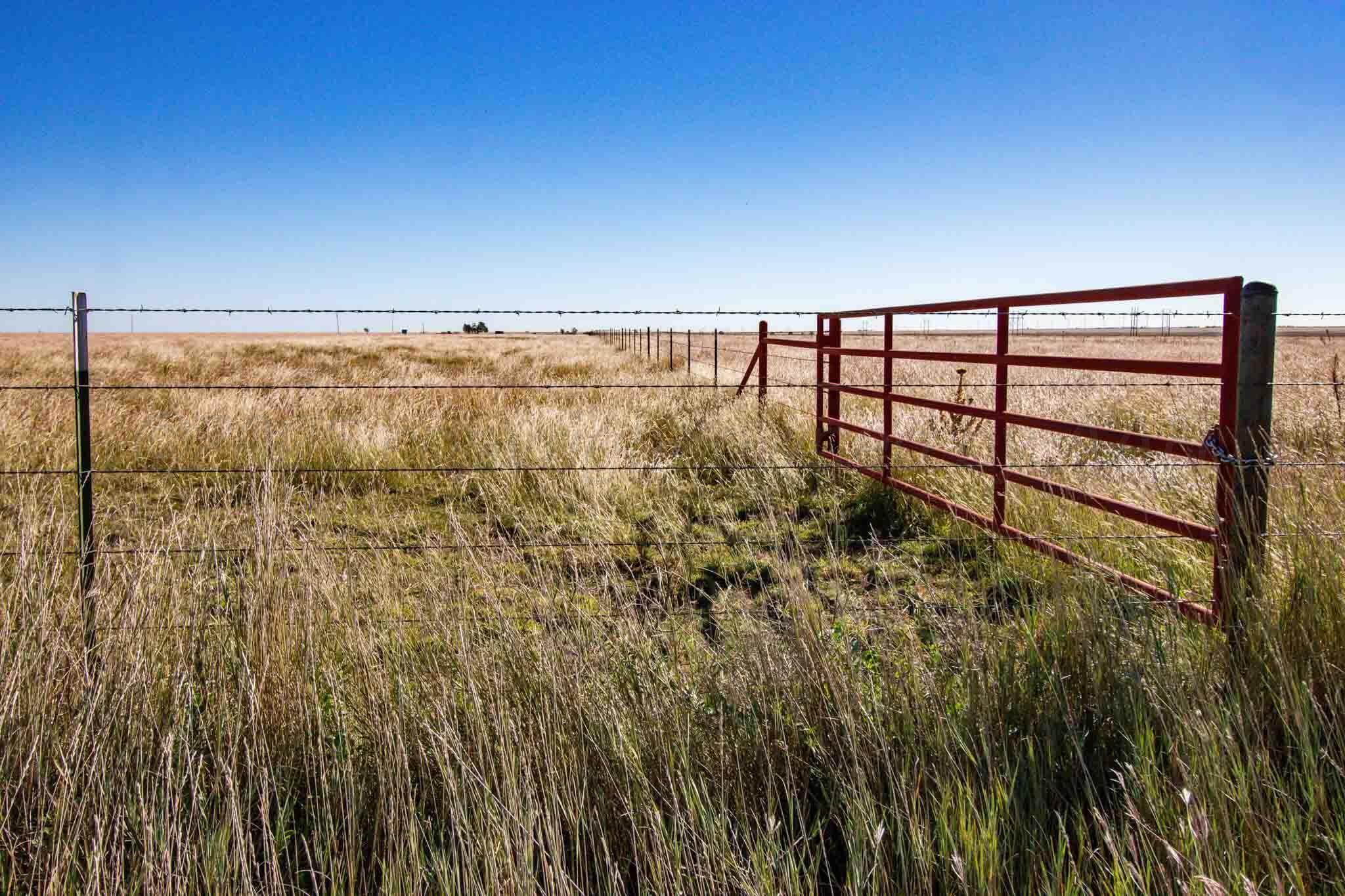 Highway 60 Property Photo 27