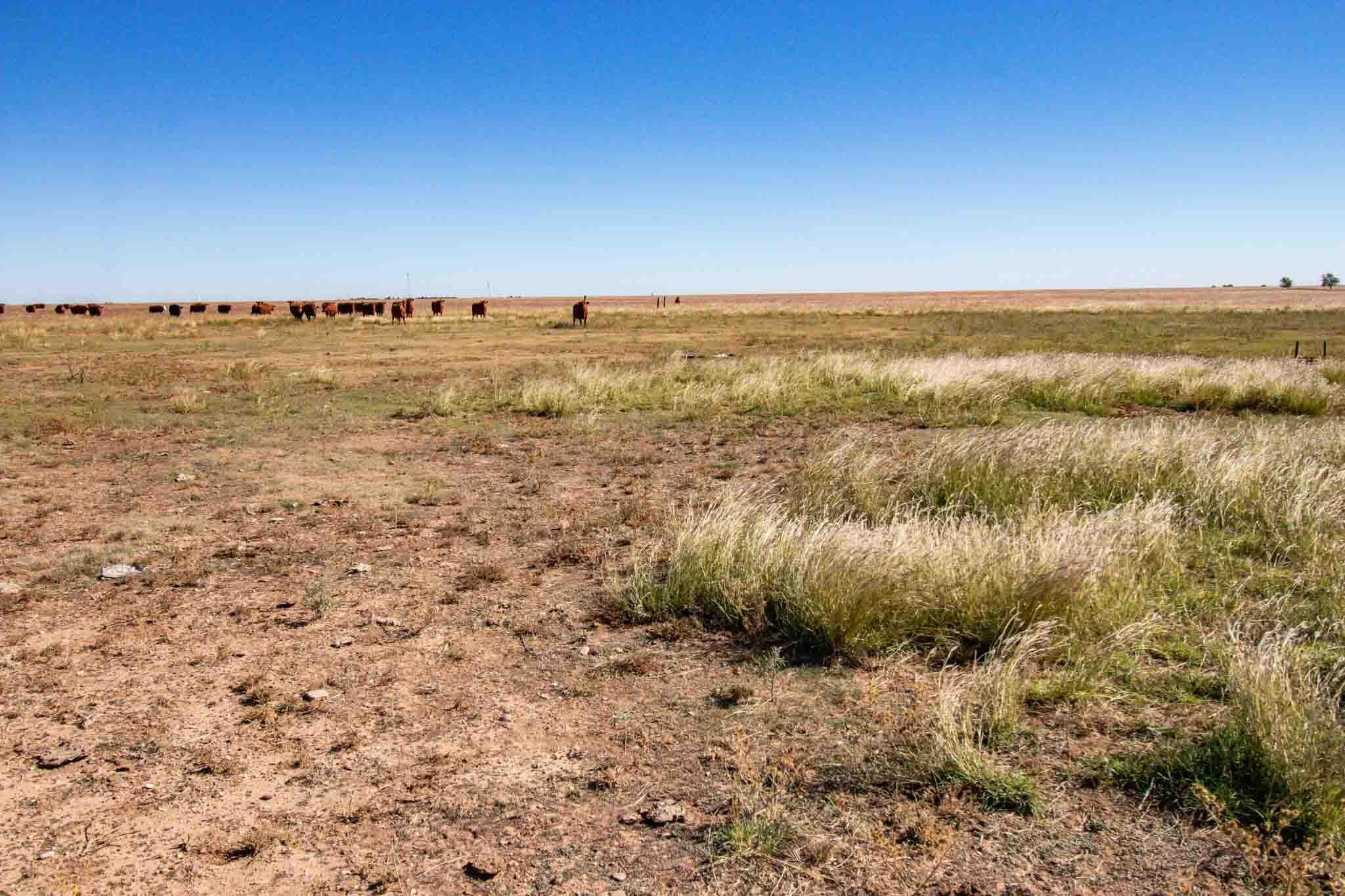 Highway 60 Property Photo 41