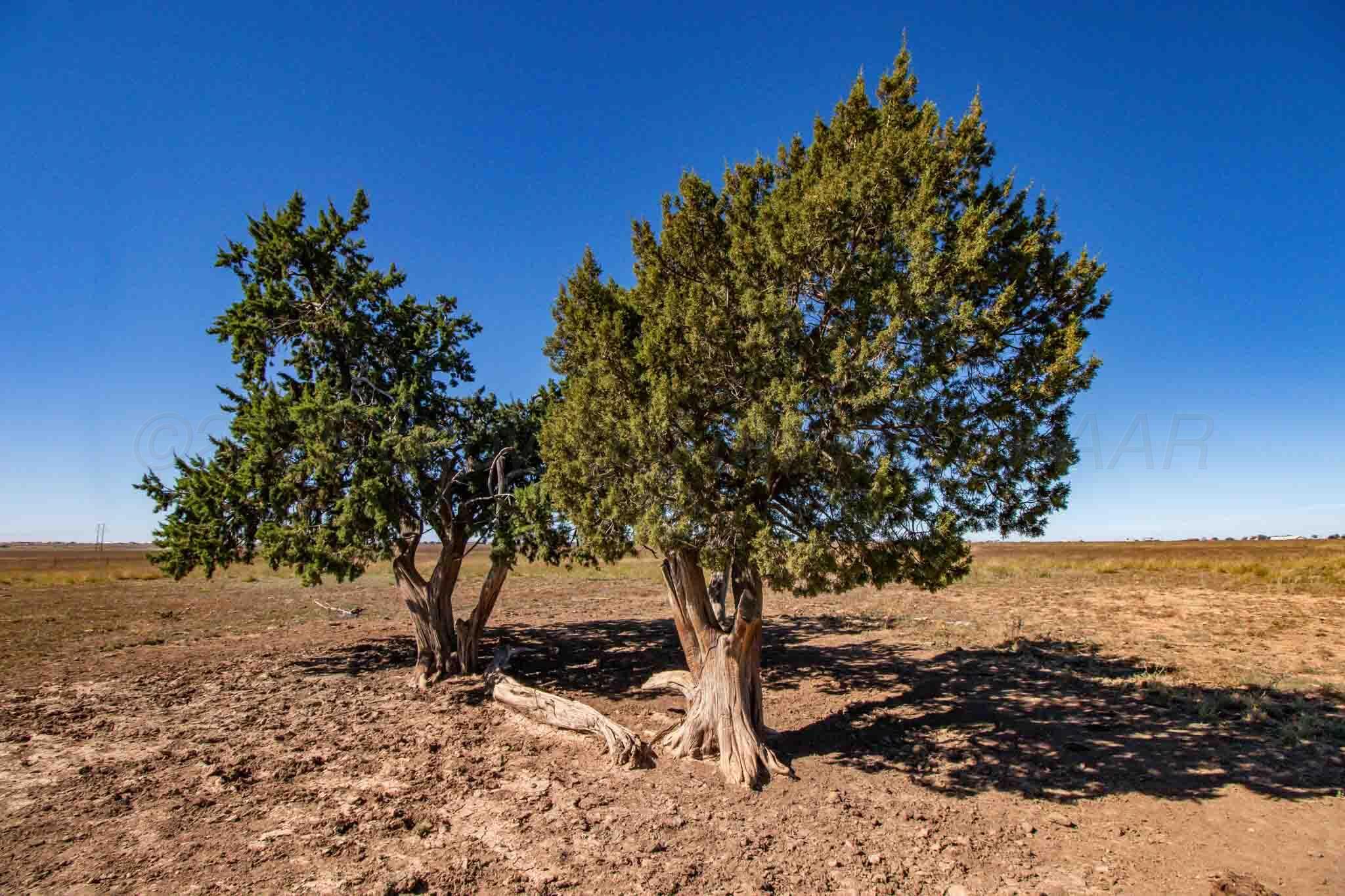 Highway 60 Property Photo 45