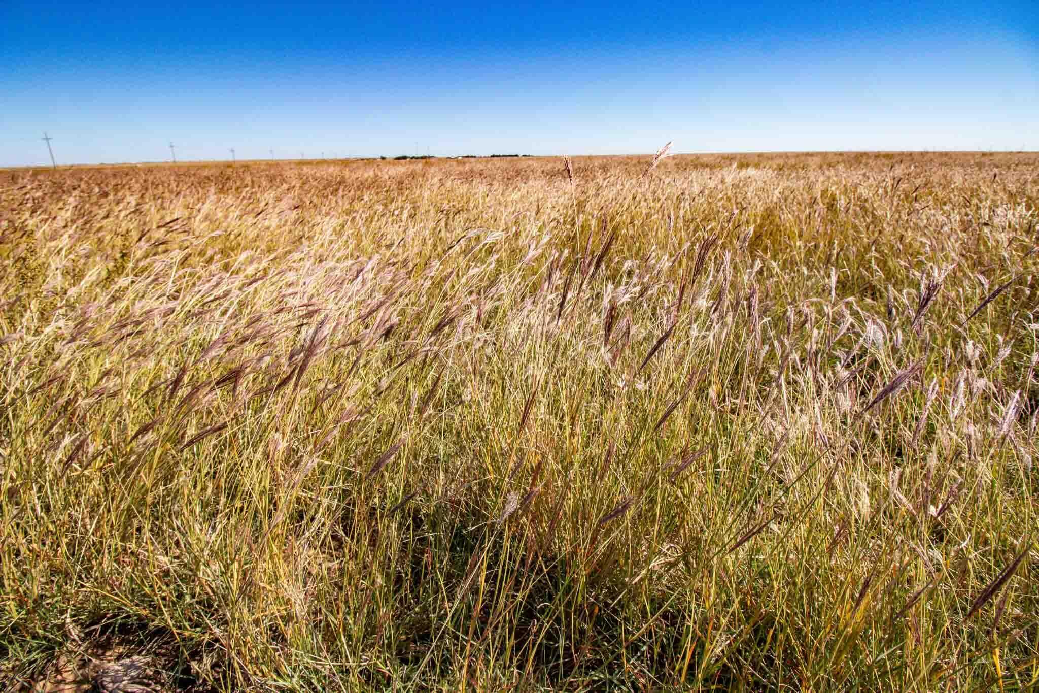 Highway 60 Property Photo 47