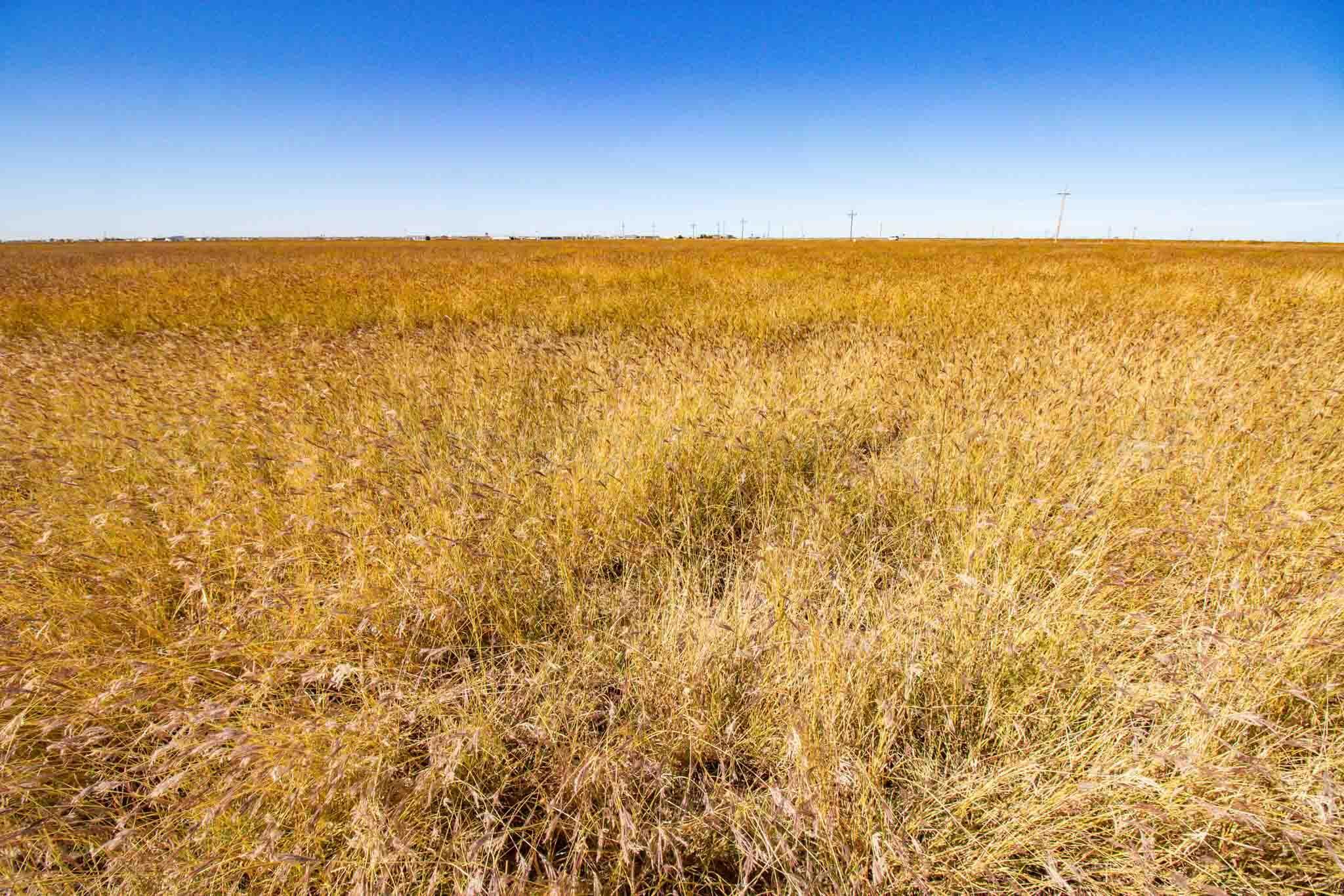 Highway 60 Property Photo 48