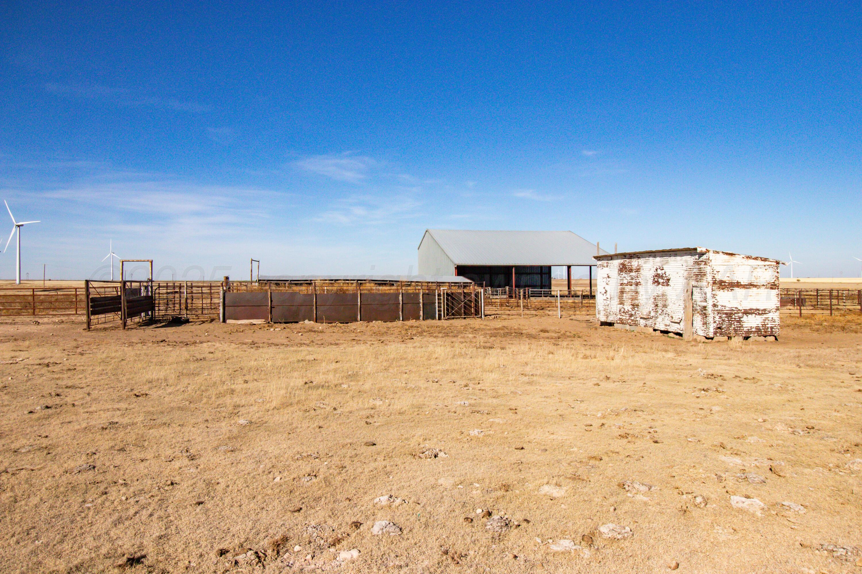 523.9 Acres County Road 14 Property Photo 4