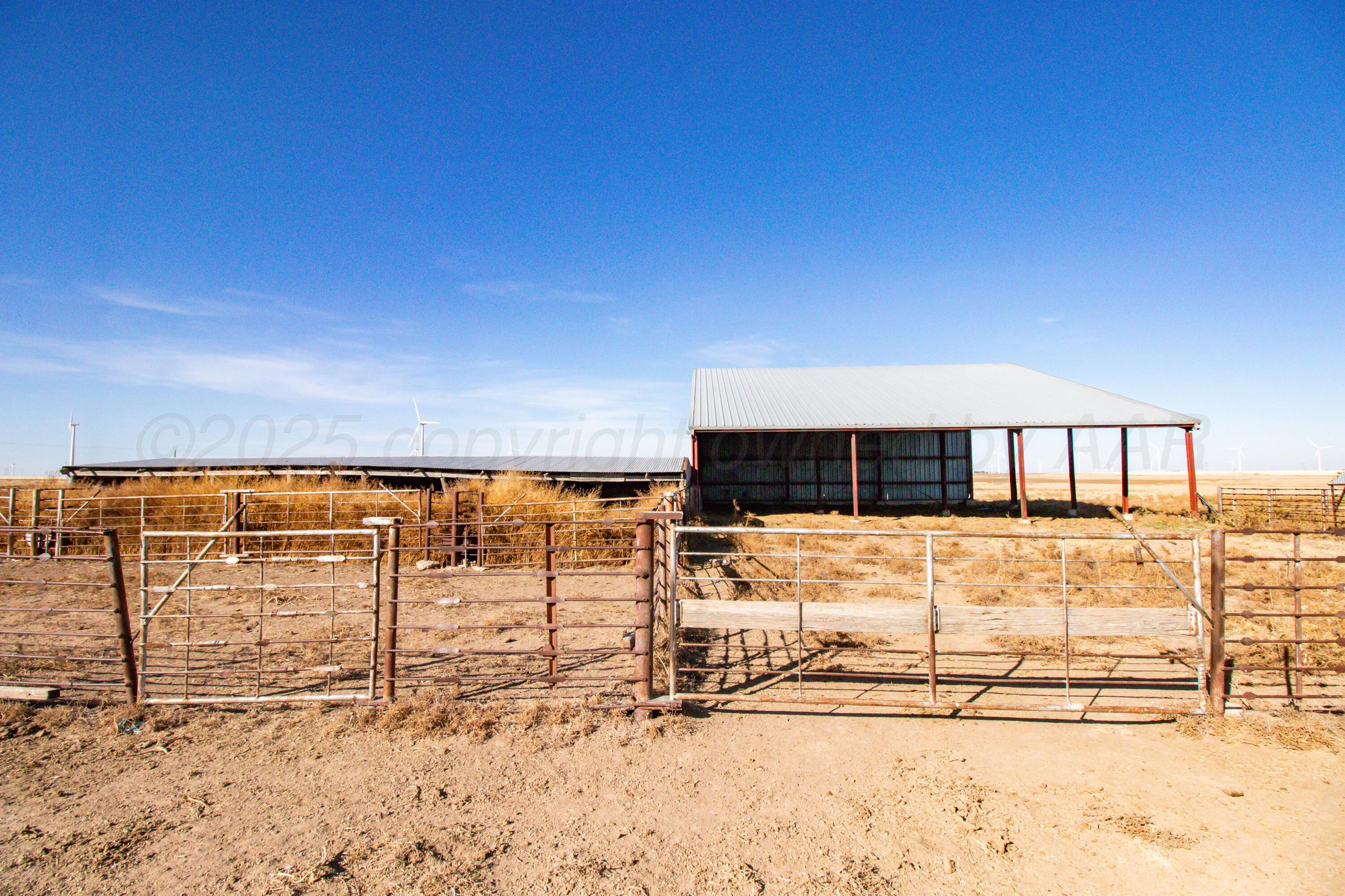 523.9 Acres County Road 14 Property Photo 5