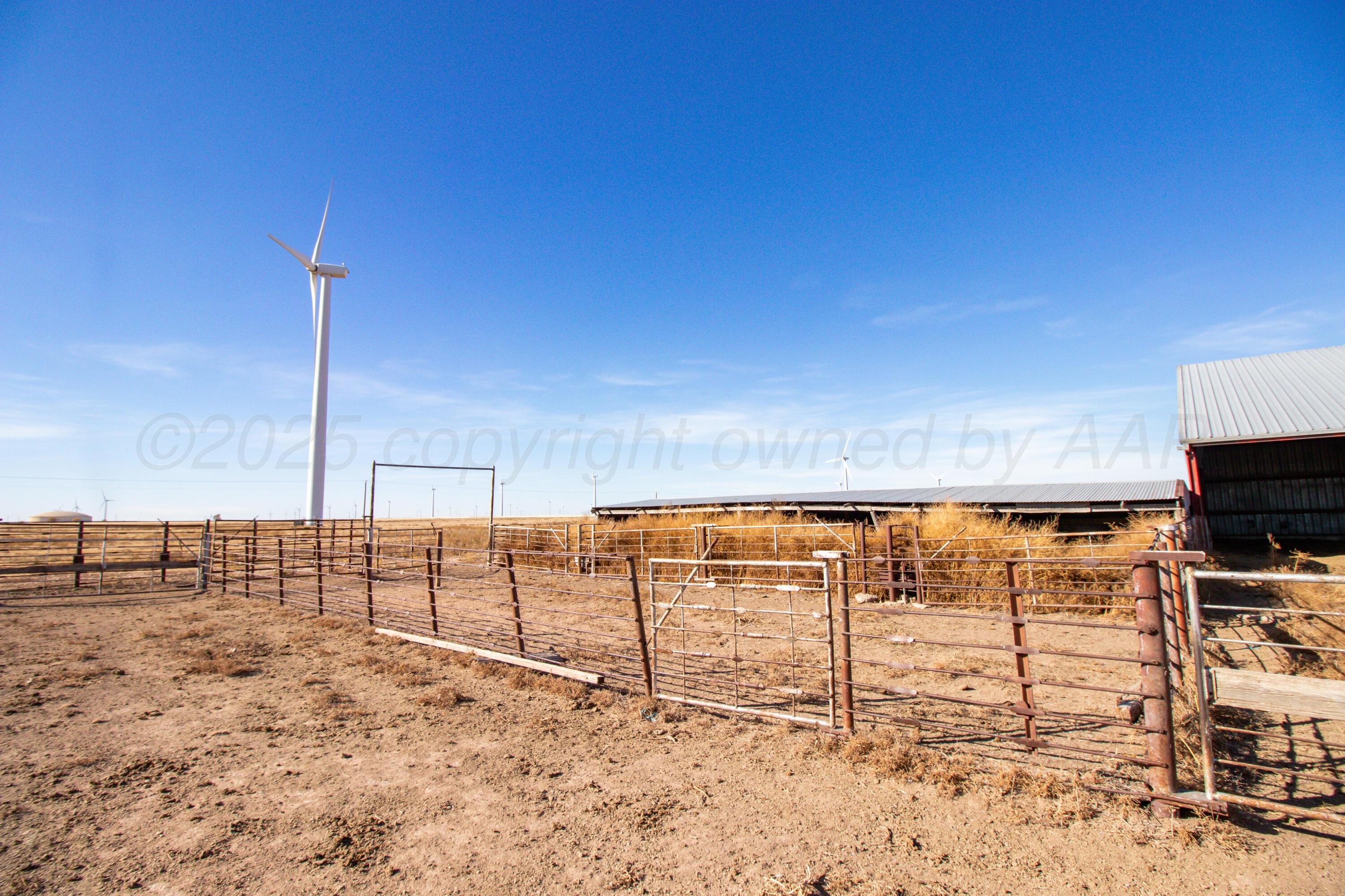 523.9 Acres County Road 14 Property Photo 6