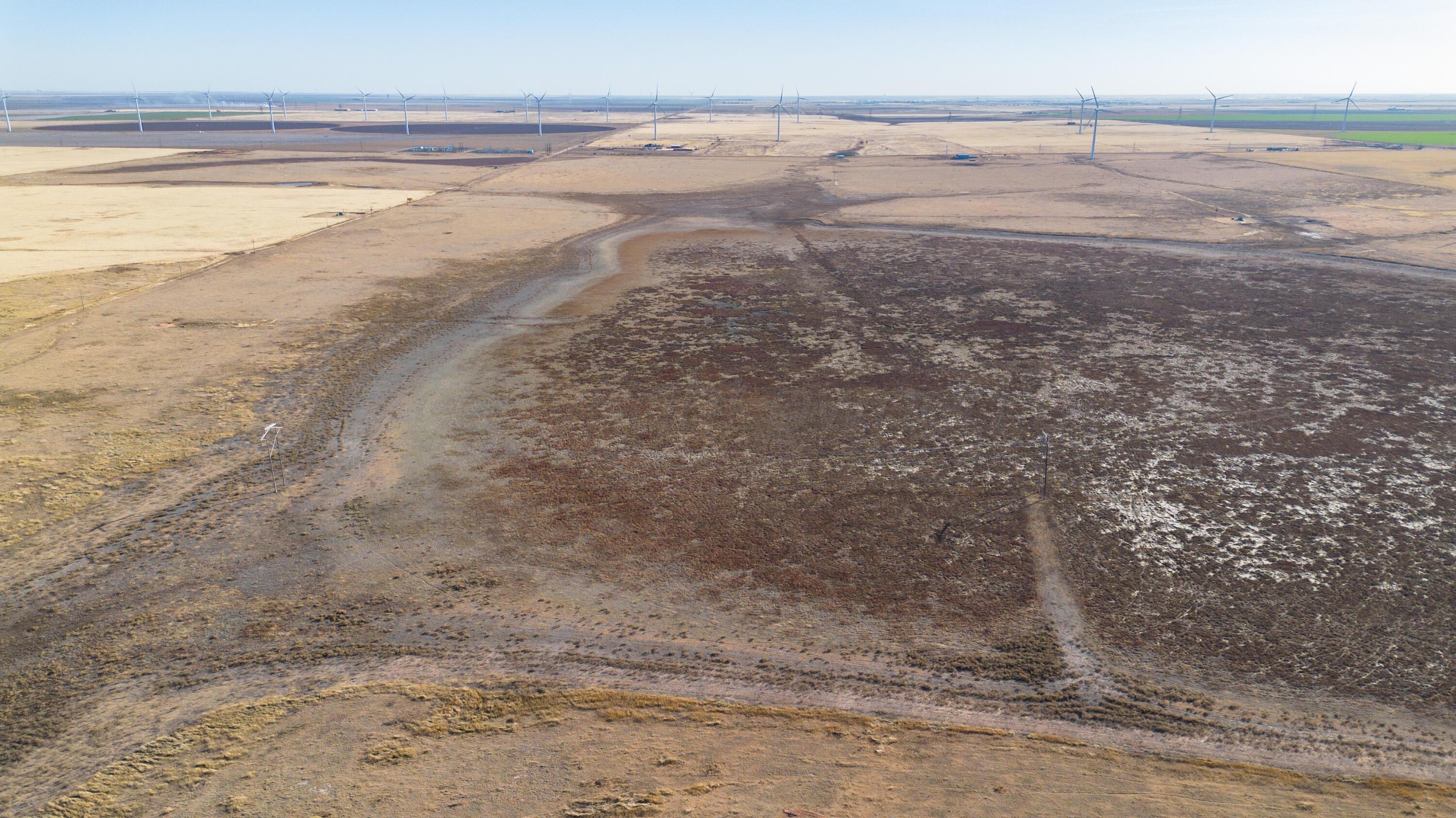 523.9 Acres County Road 14 Property Photo 26