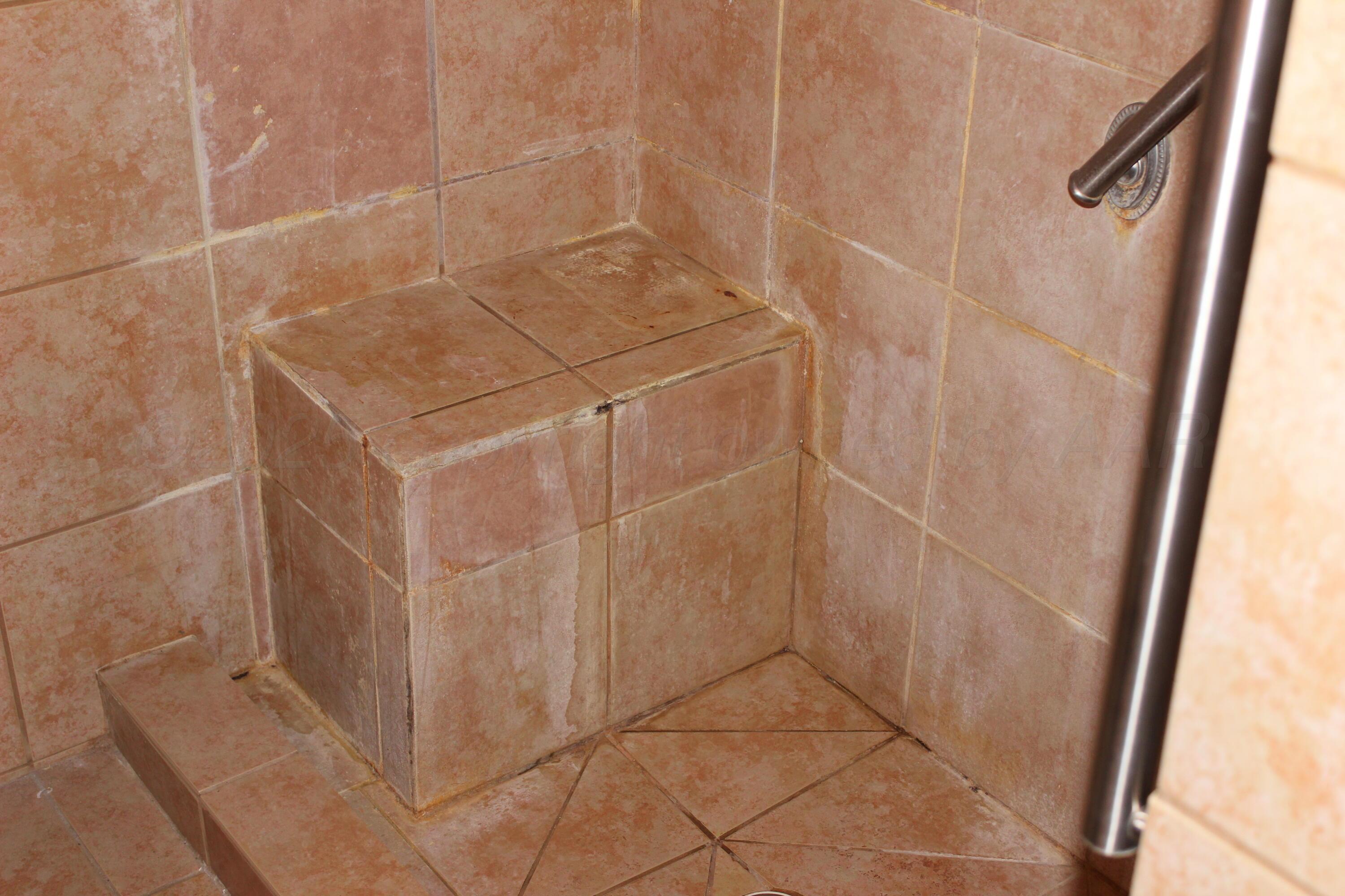 208 Star Street Property Photo 6