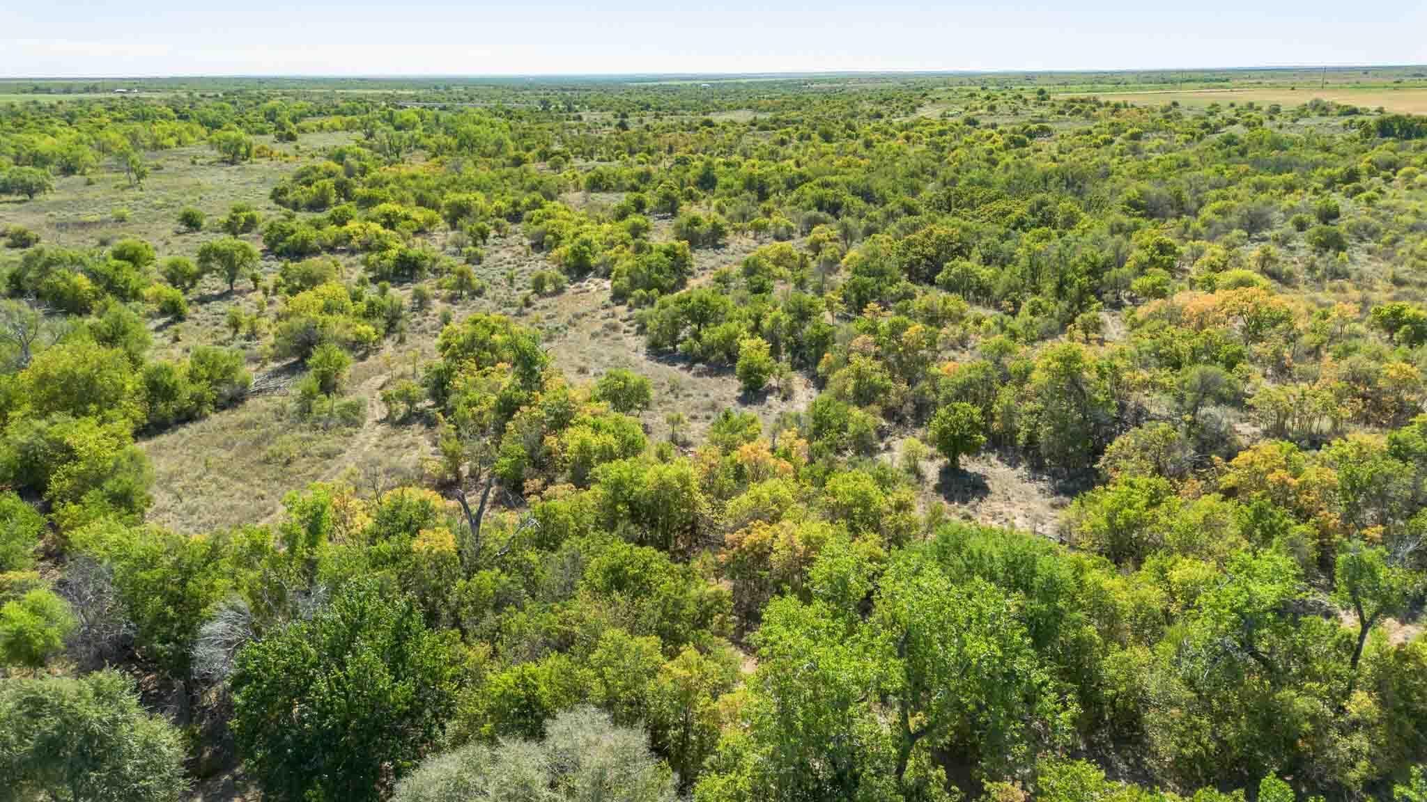 Quail Haven Property Photo 5