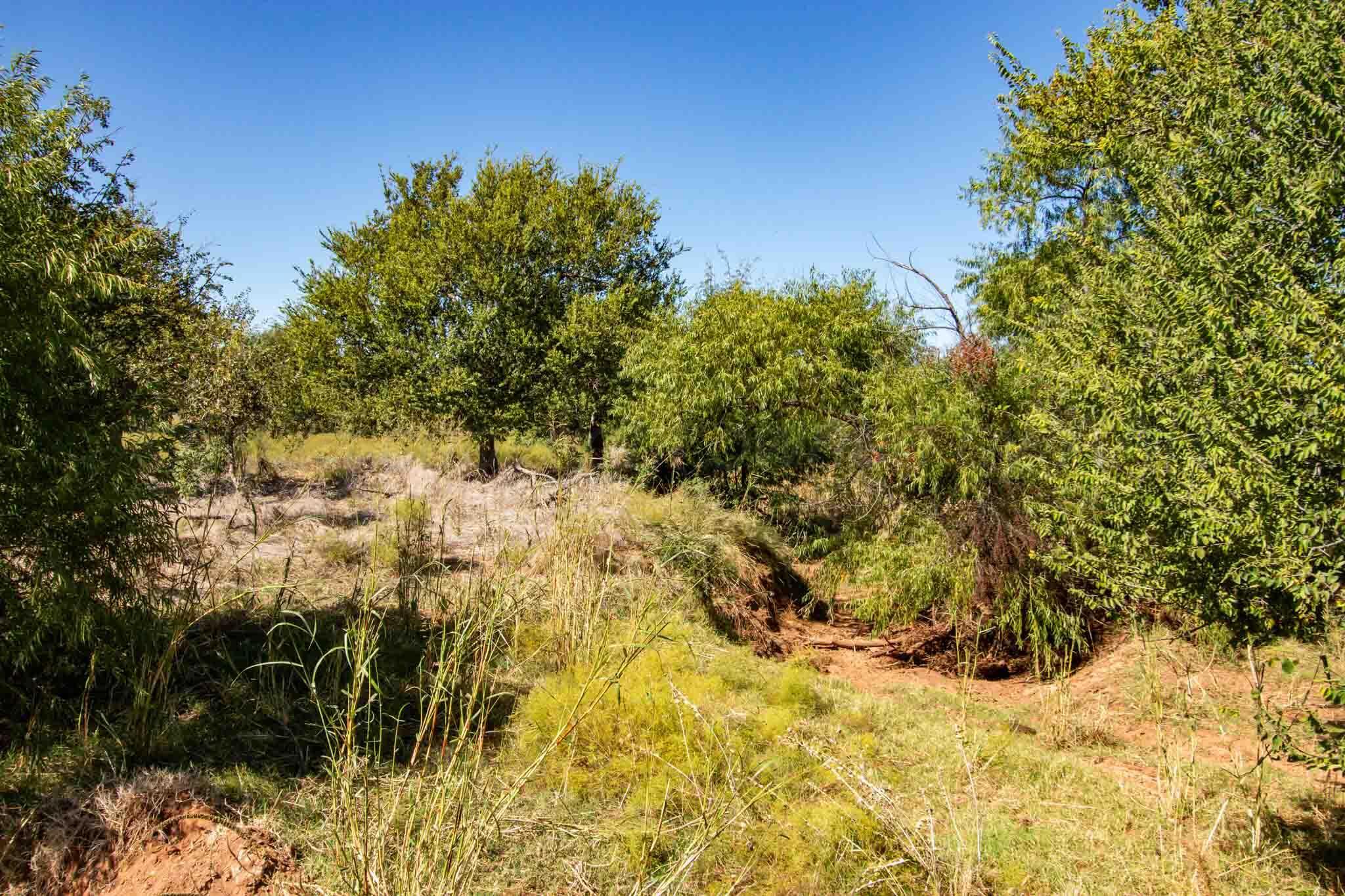 Quail Haven Property Photo 9