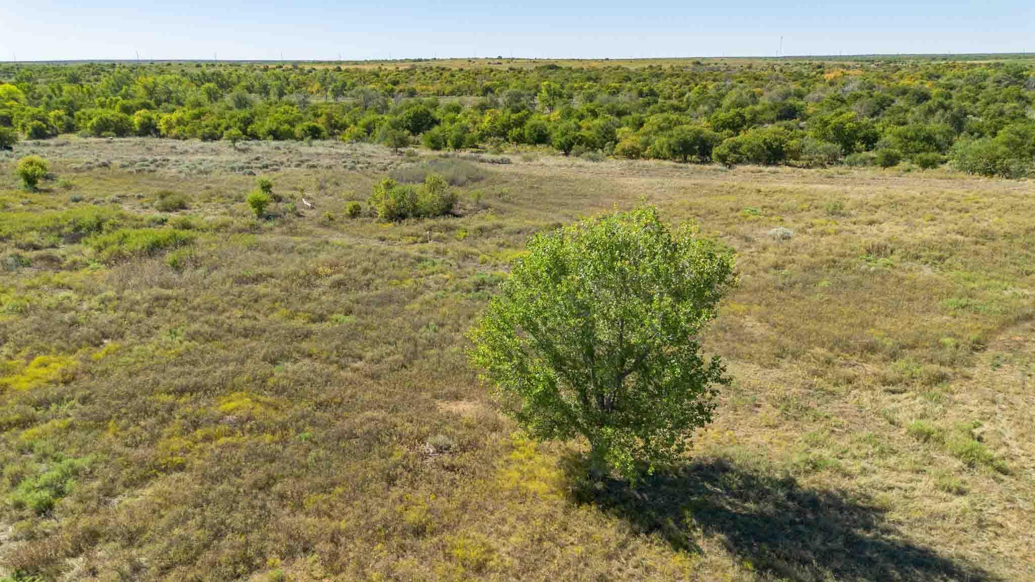 Quail Haven Property Photo 11