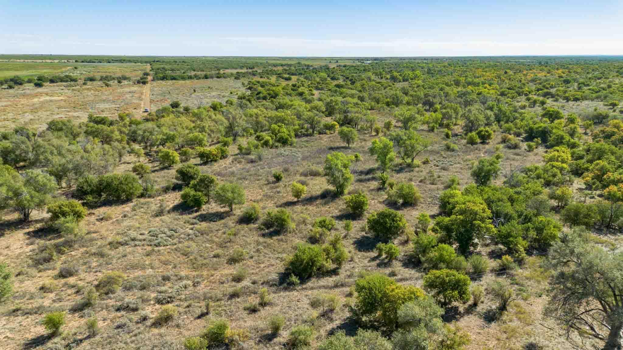 Quail Haven Property Photo 12