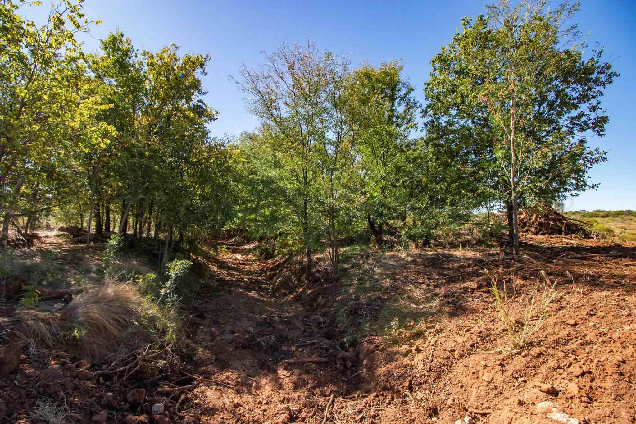 Quail Haven Property Photo 13