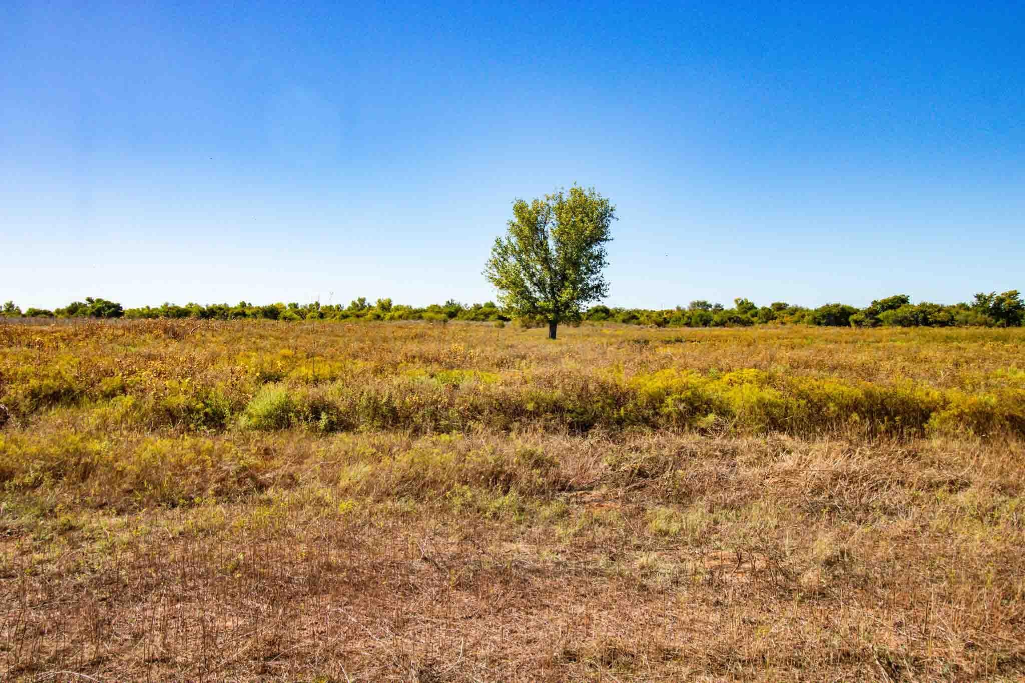 Quail Haven Property Photo 14