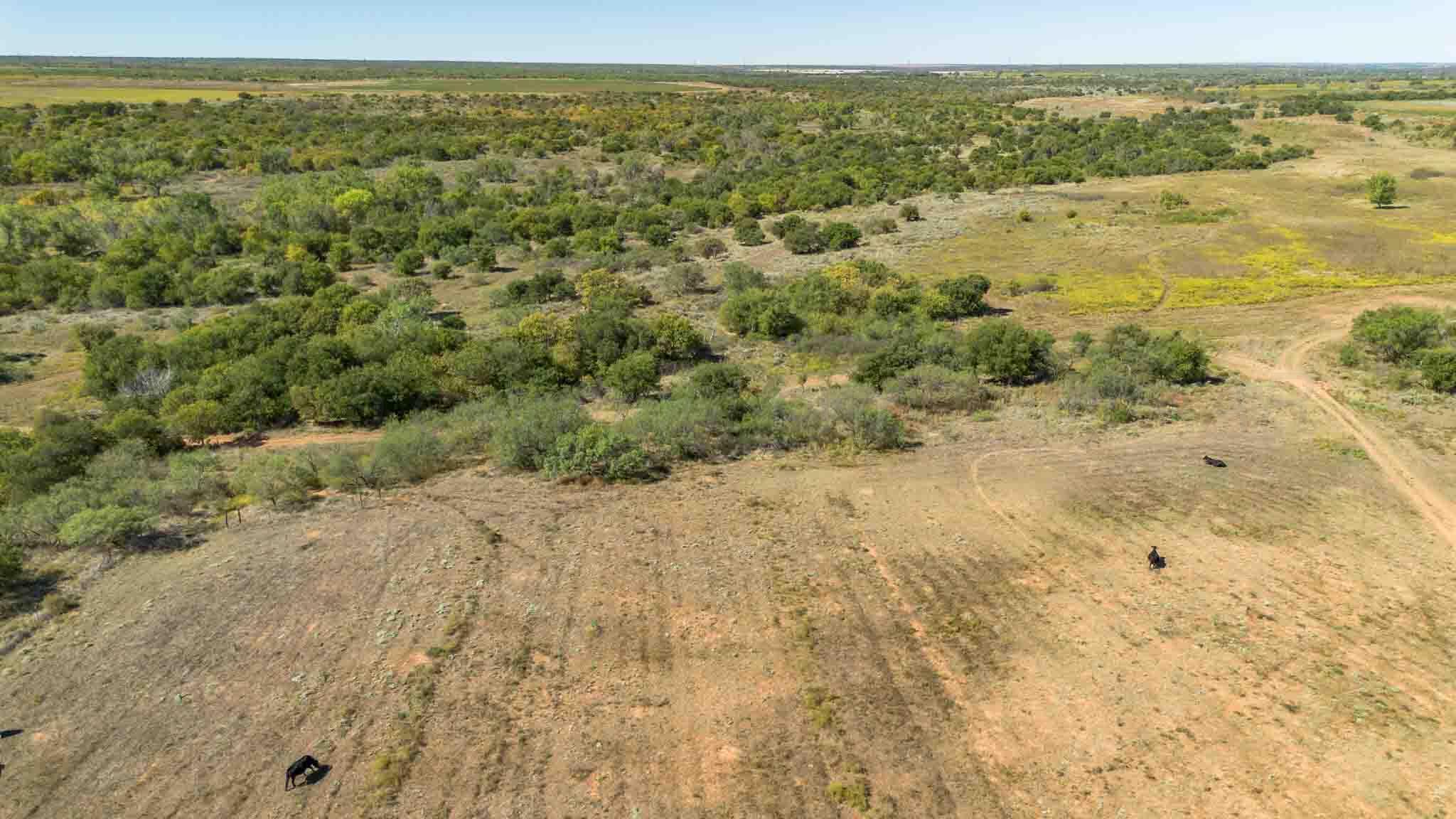 Quail Haven Property Photo 19