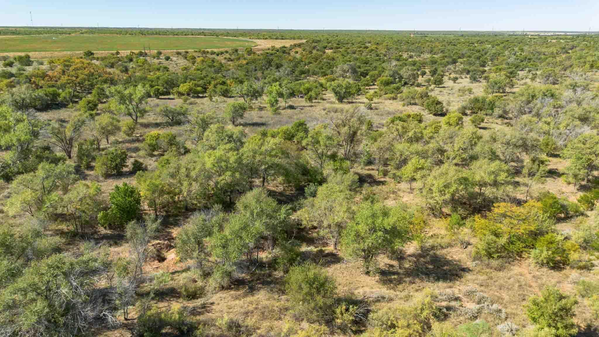 Quail Haven Property Photo 38