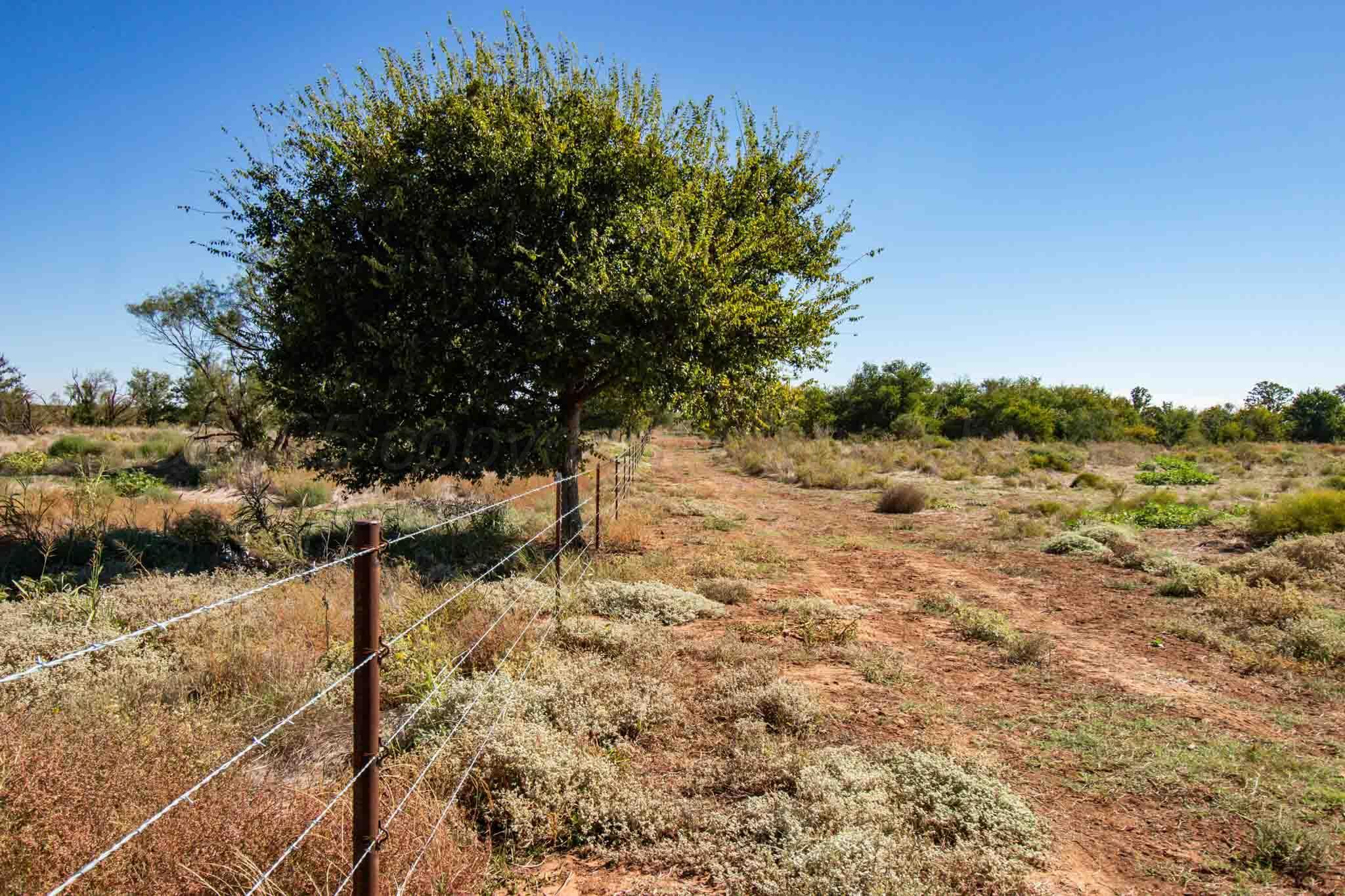 Quail Haven Property Photo 40