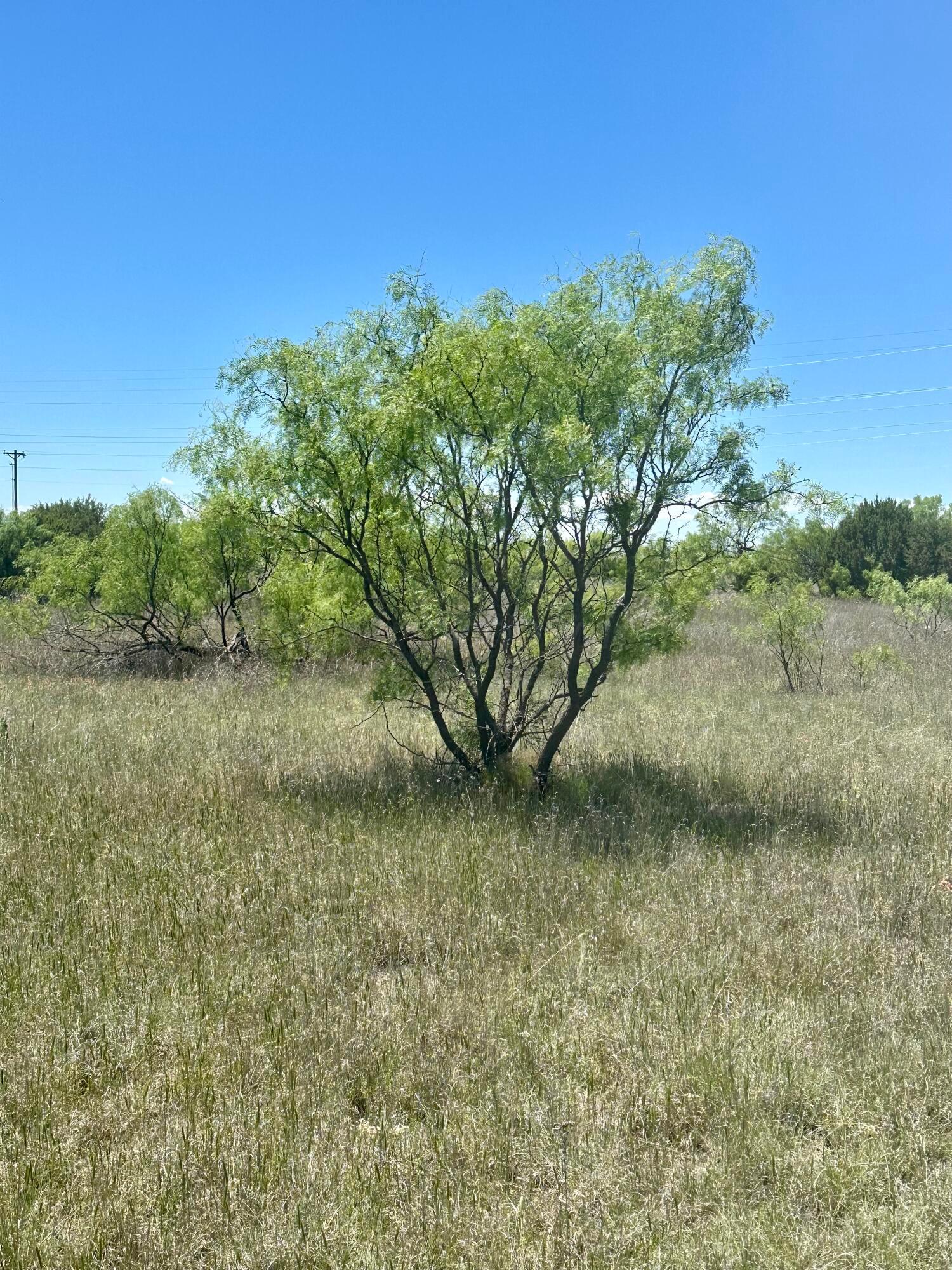 710 Canyon Parkway Property Photo 3