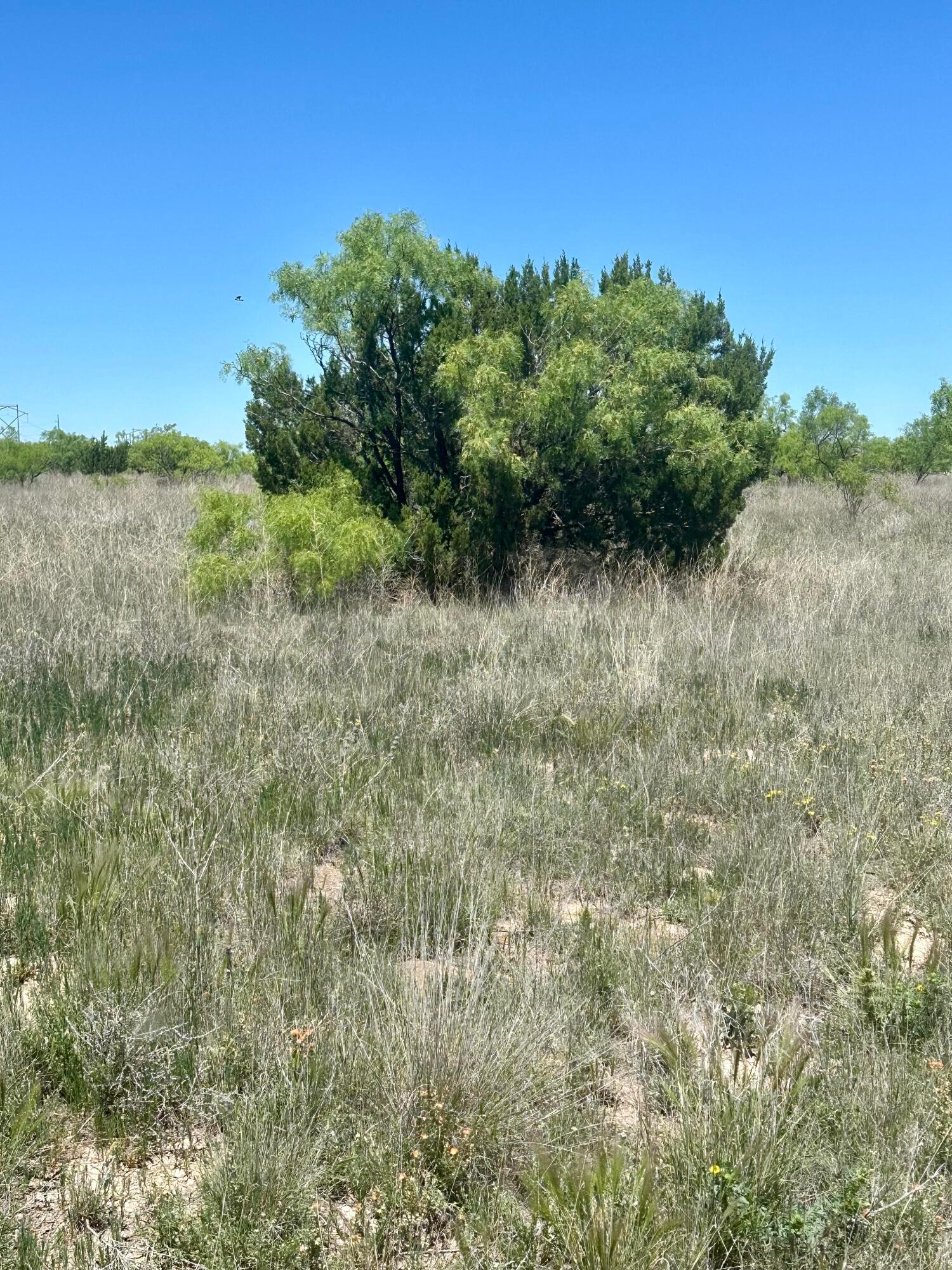 710 Canyon Parkway Property Photo 4