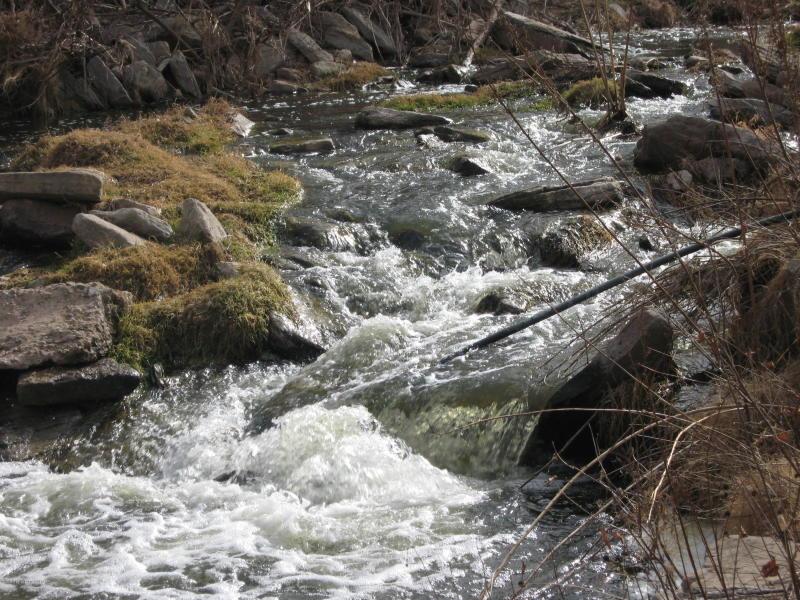 11880 Wild Horse Trail Property Photo 12