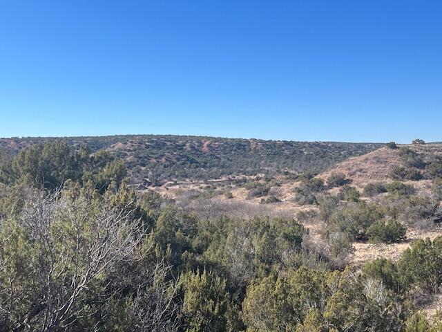 Highway 70 Property Photo 12