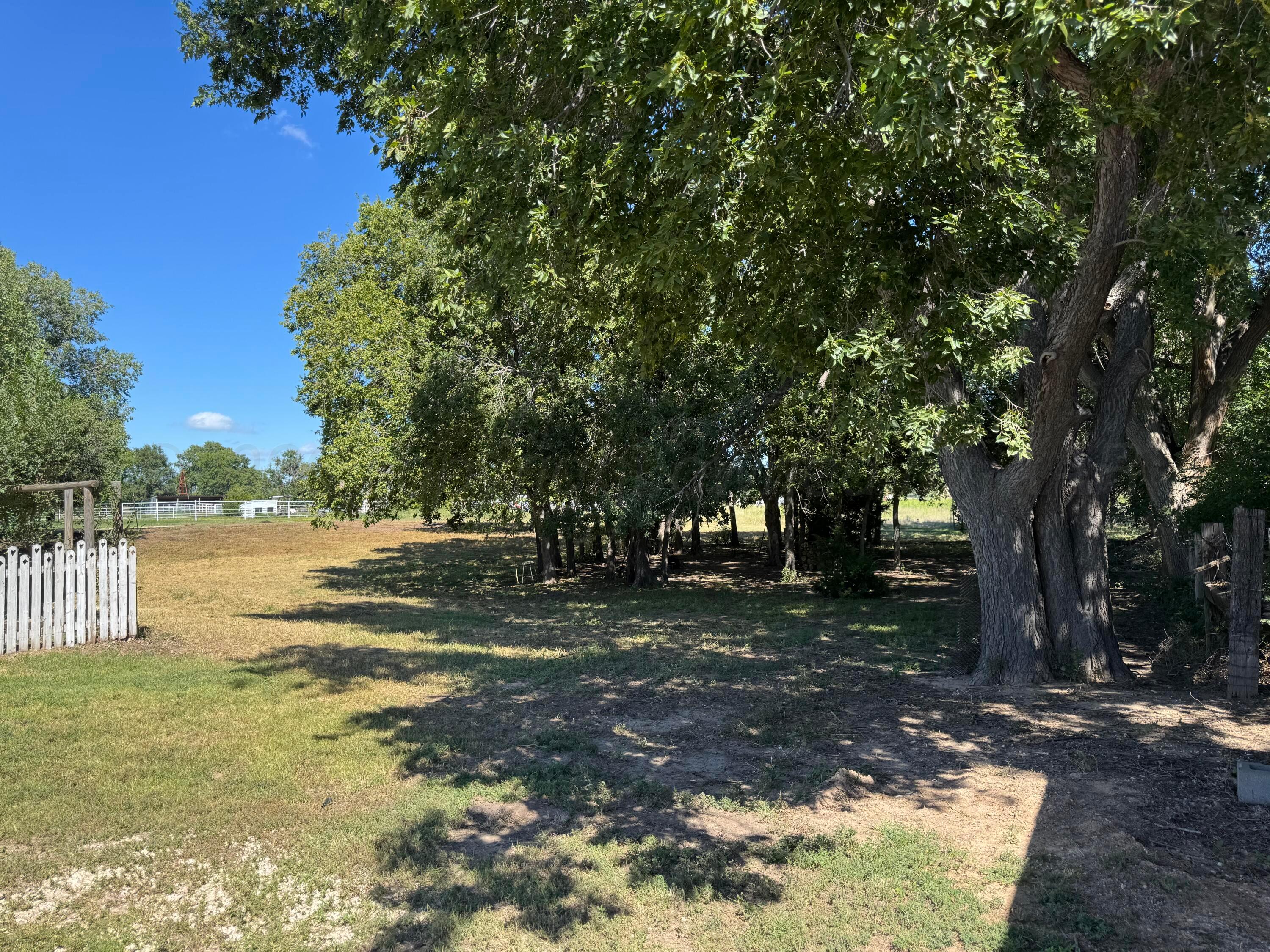 11316 Highway 305 Property Photo 3