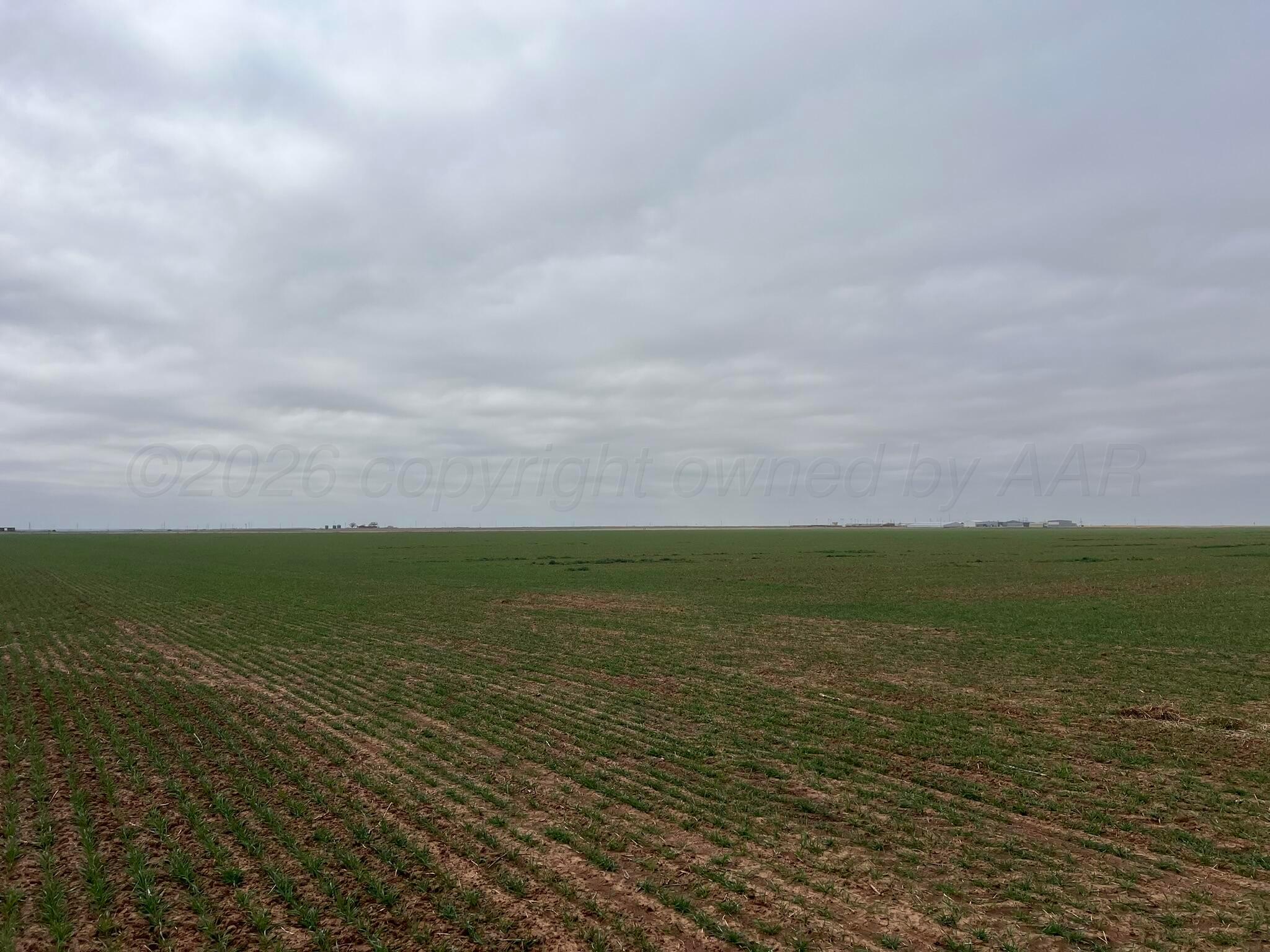 Tbd Farm-to-market 2568 Property Photo 8