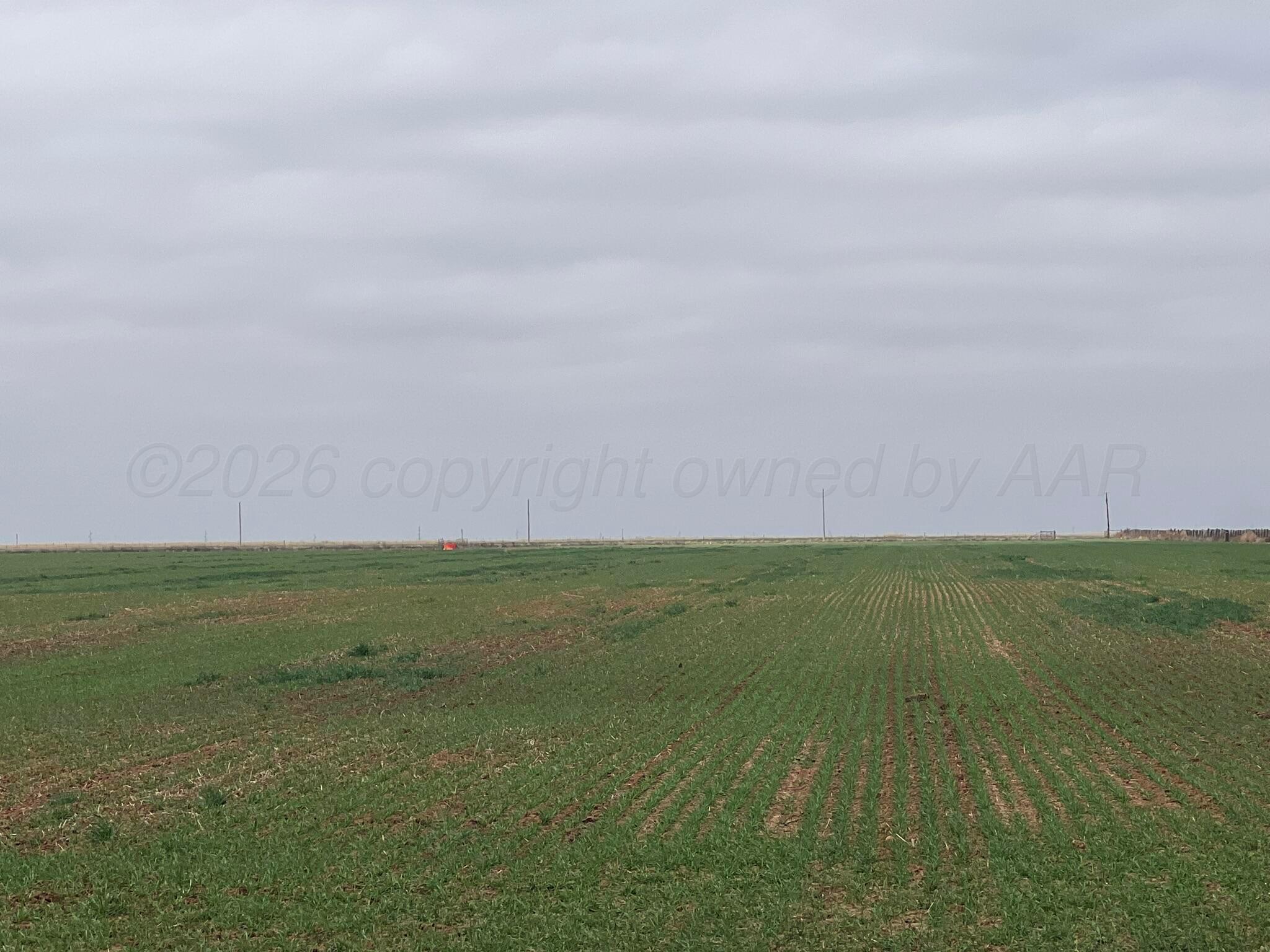 Tbd Farm-to-market 2568 Property Photo 10