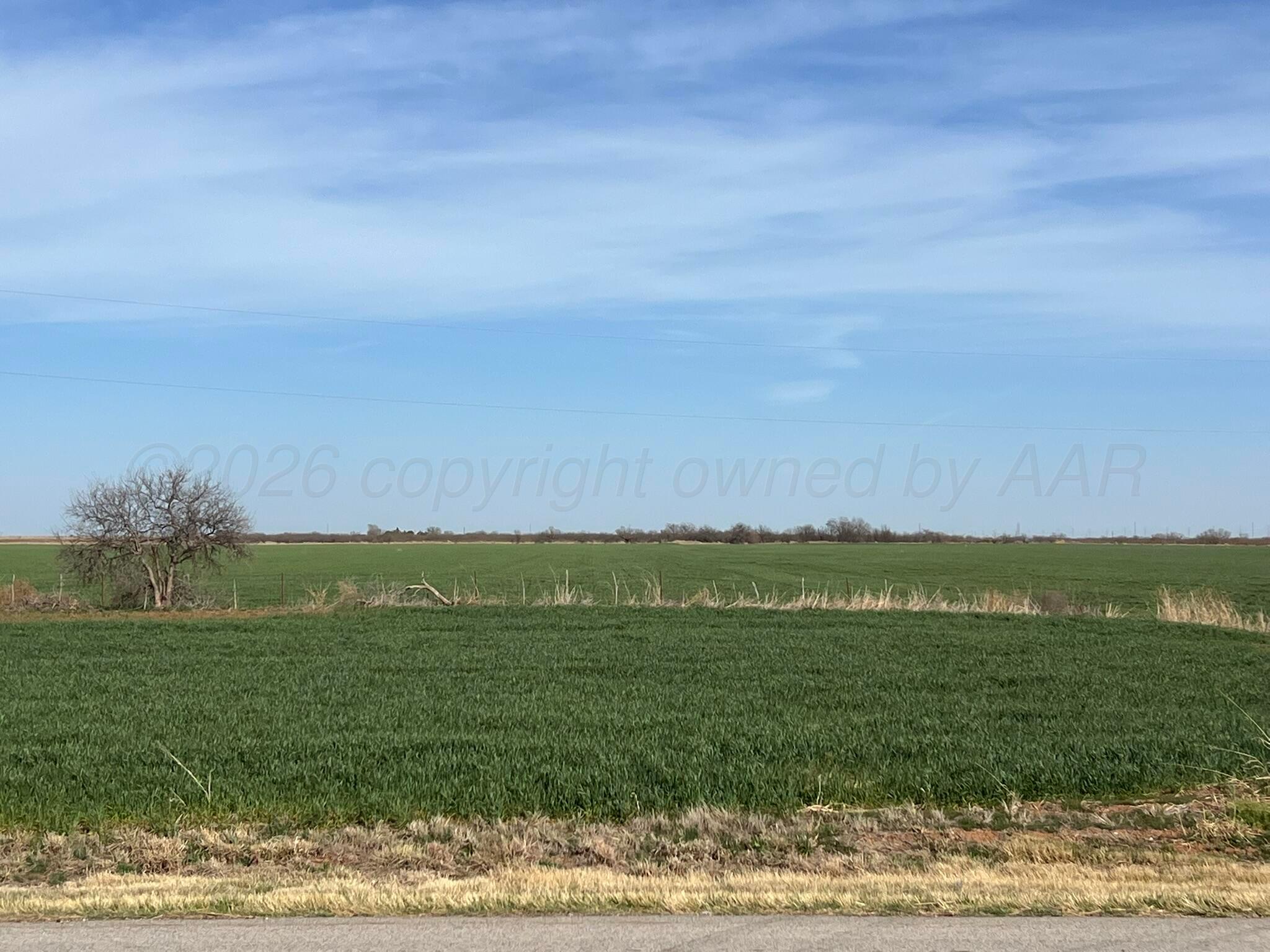 Tbd State Highway 6 Property Photo 3