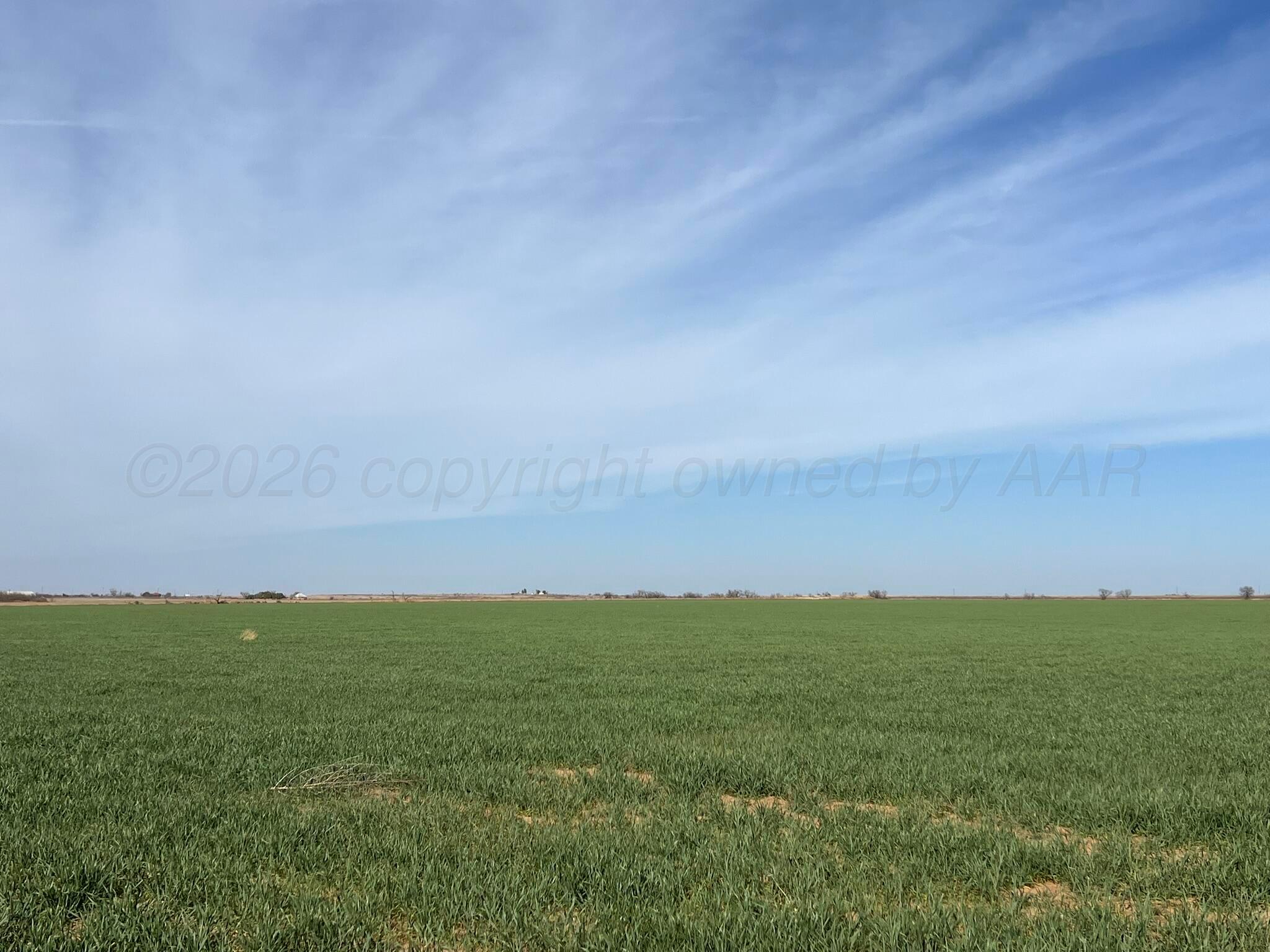 Tbd State Highway 6 Property Photo 4