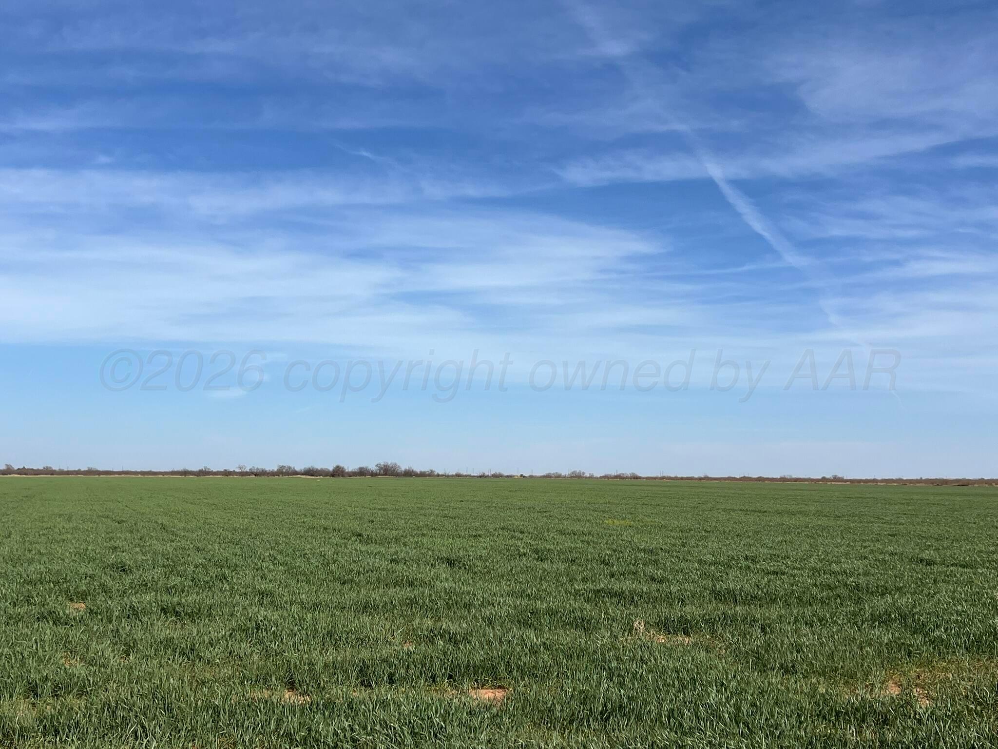 Tbd State Highway 6 Property Photo 5