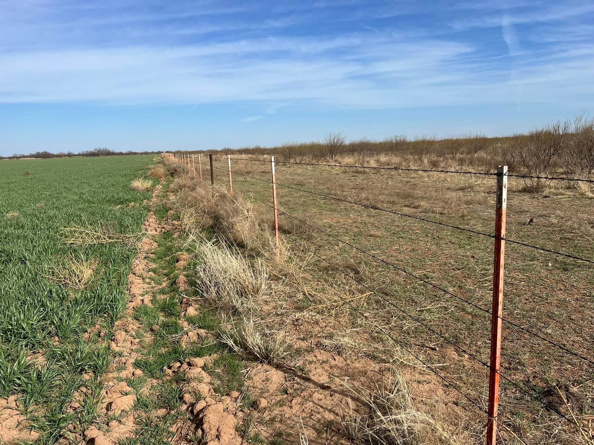 Tbd State Highway 6 Property Photo 9