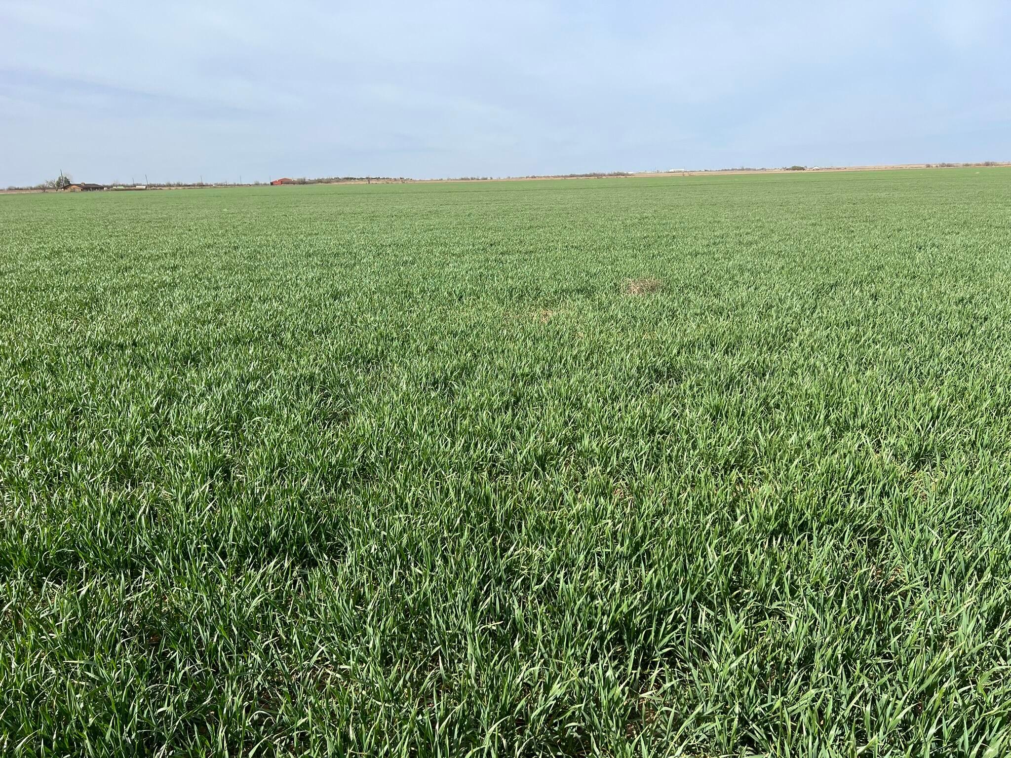 Tbd State Highway 6 Property Photo 10