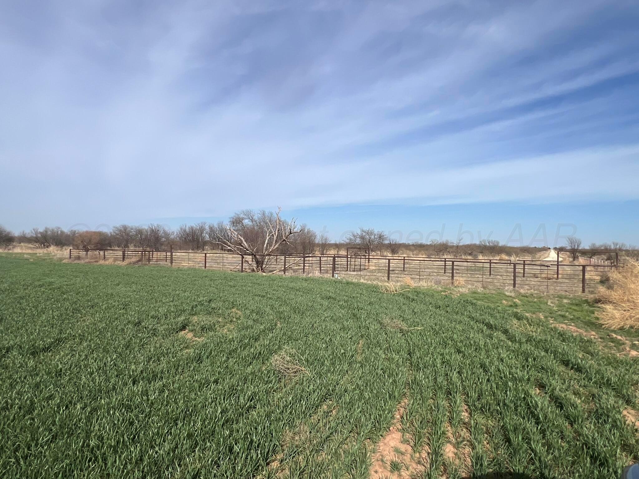 Tbd State Highway 6 Property Photo 11