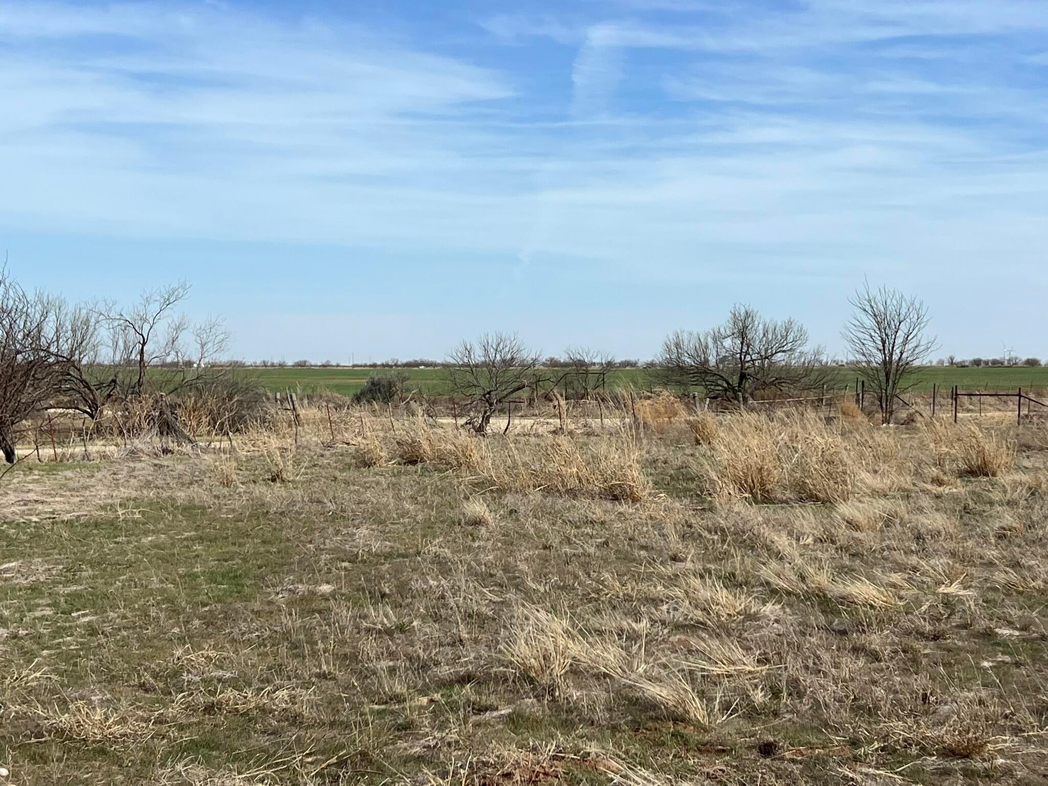 Tbd State Highway 6 Property Photo 13