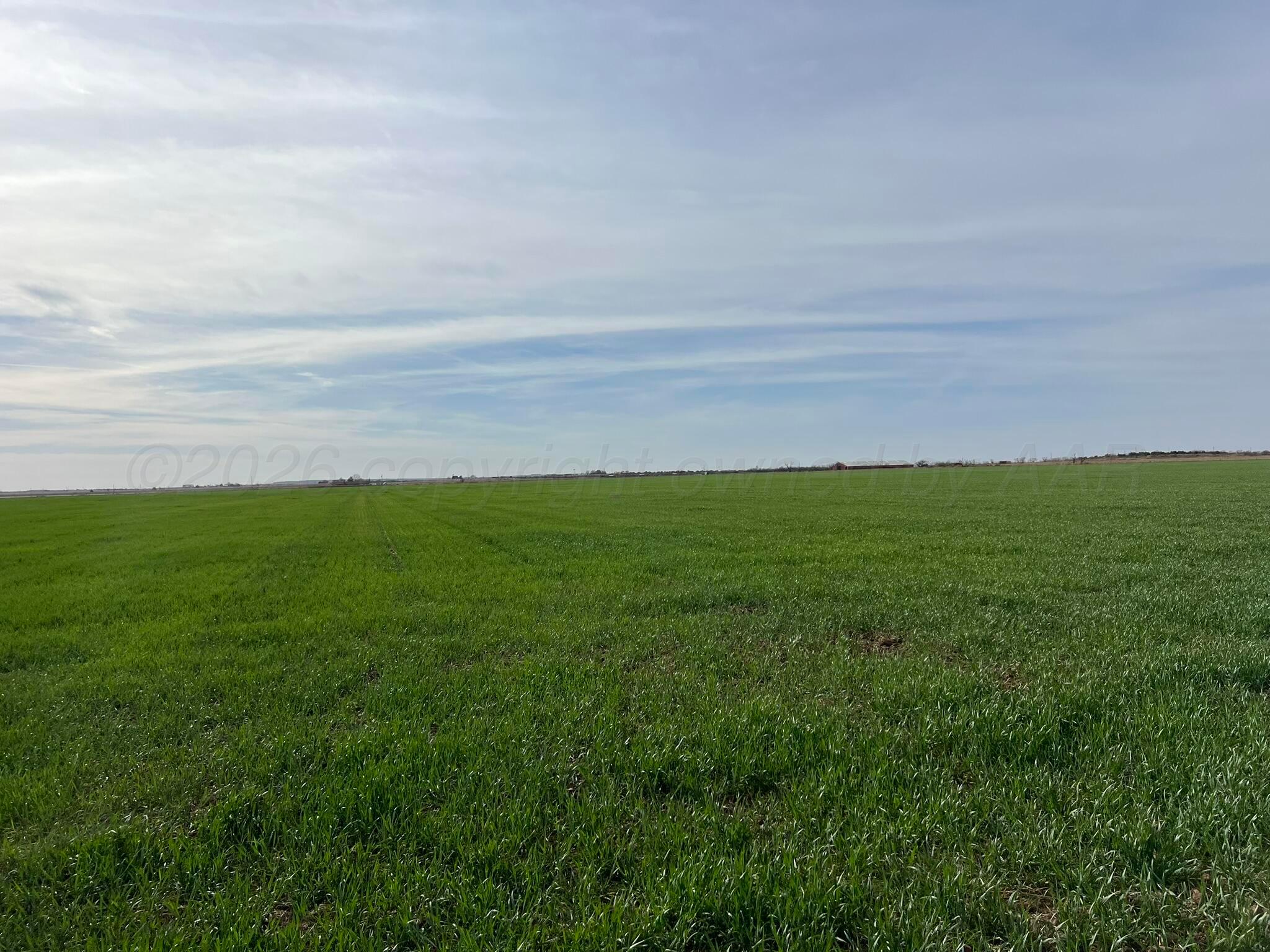 Tbd State Highway 6 Property Photo 16