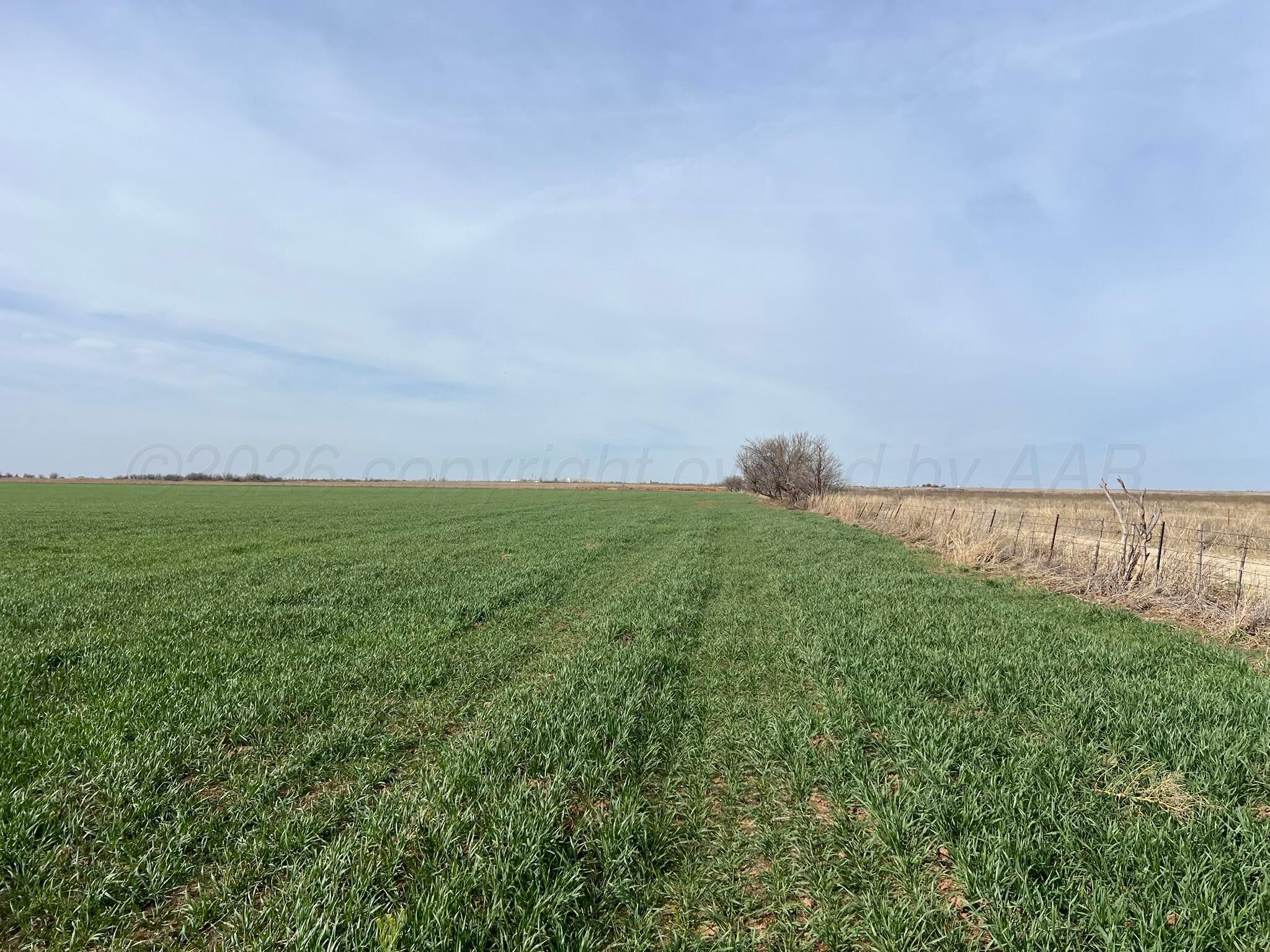 Tbd State Highway 6 Property Photo 17