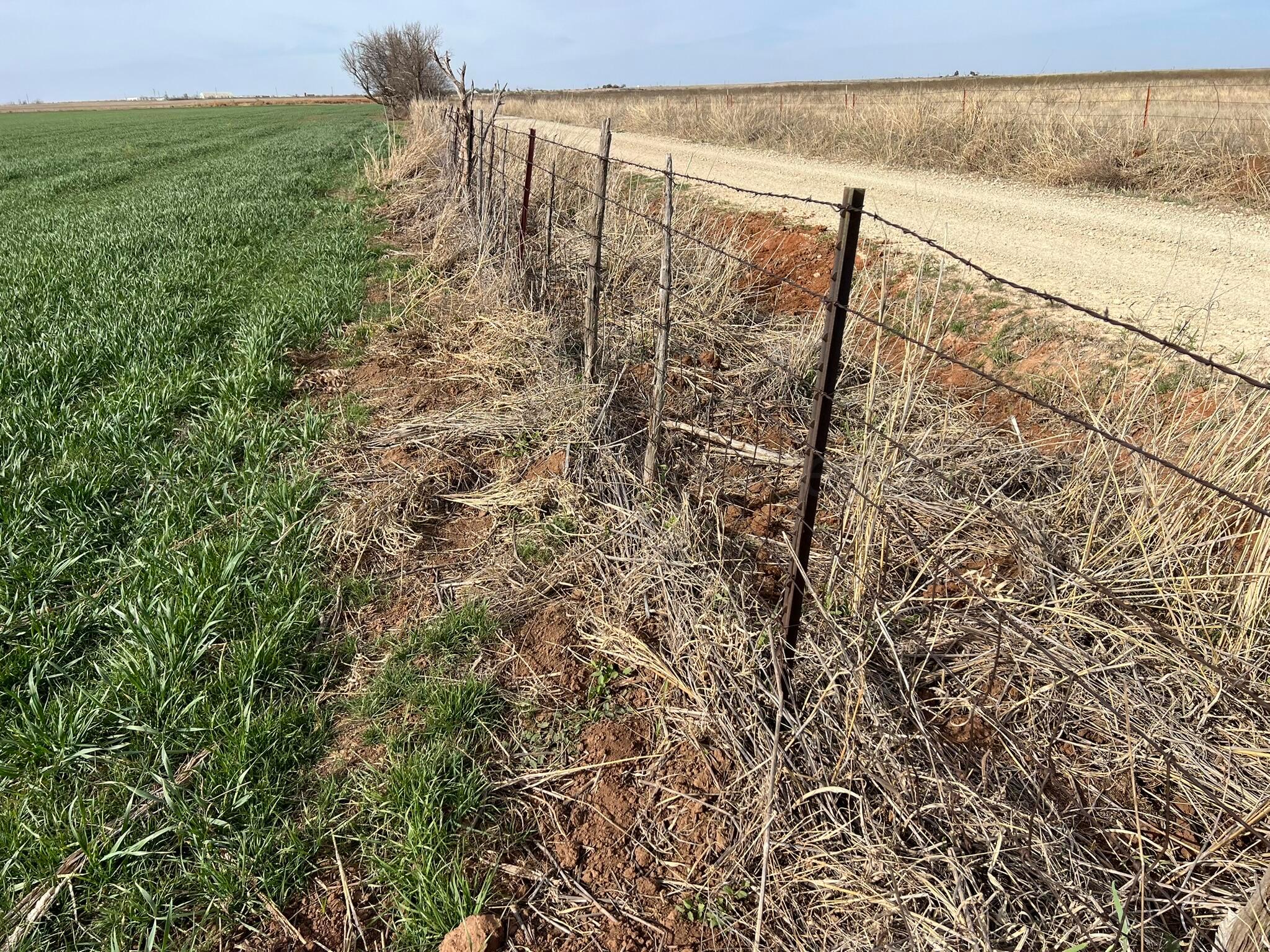 Tbd State Highway 6 Property Photo 18