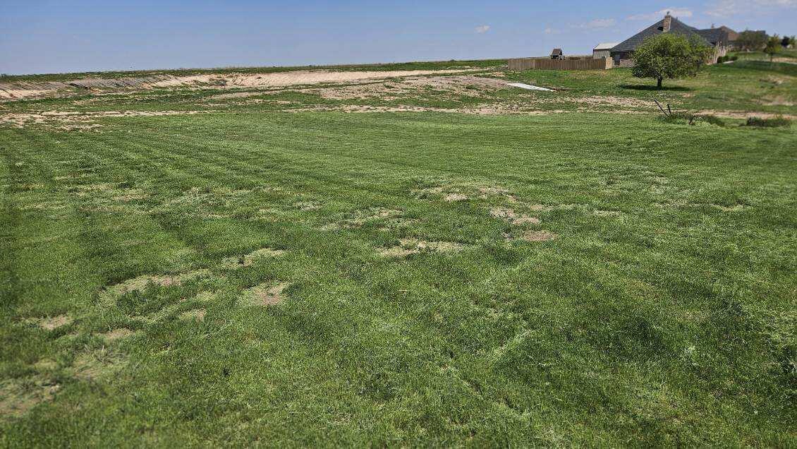 12511 Divot Property Photo 2