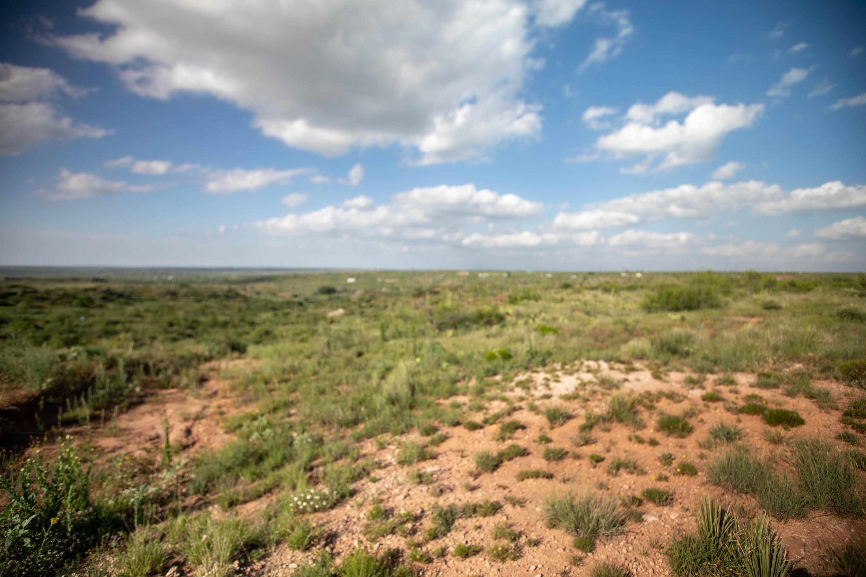 20700 Murray Loop Property Photo 4