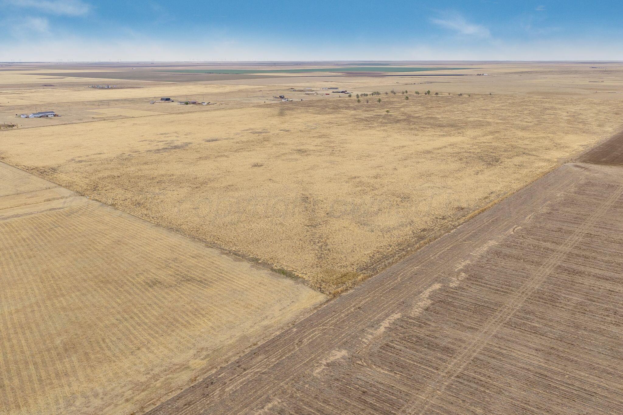 +/-180 Acres County Road 6 Property Photo 7
